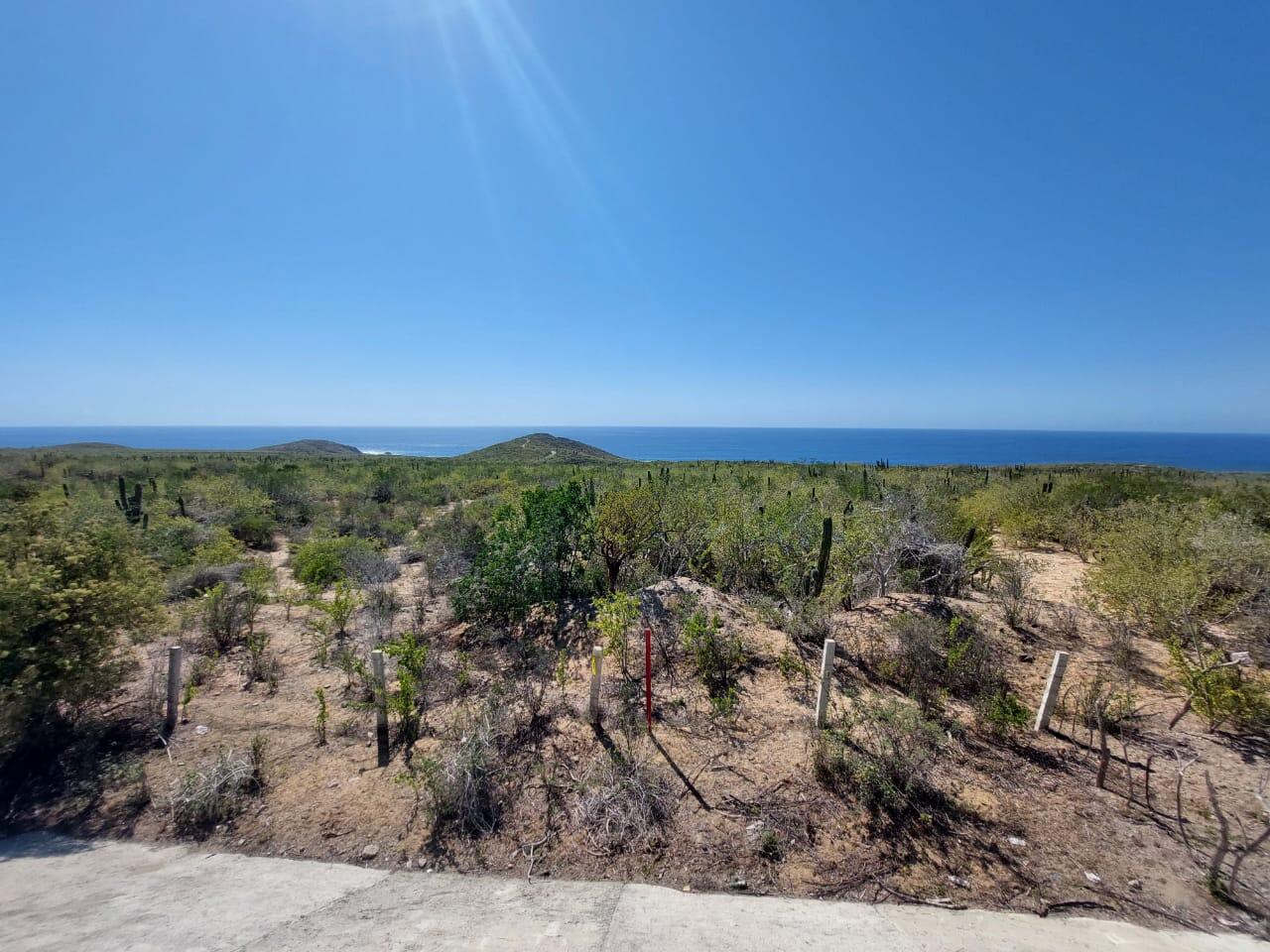 SIN NOMBRE, 19.5 HECTAREAS ELIAS CALLES