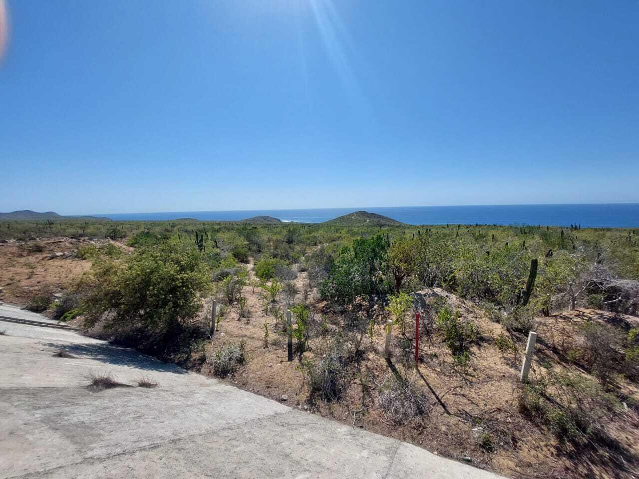 SIN NOMBRE, 19.5 HECTAREAS ELIAS CALLES