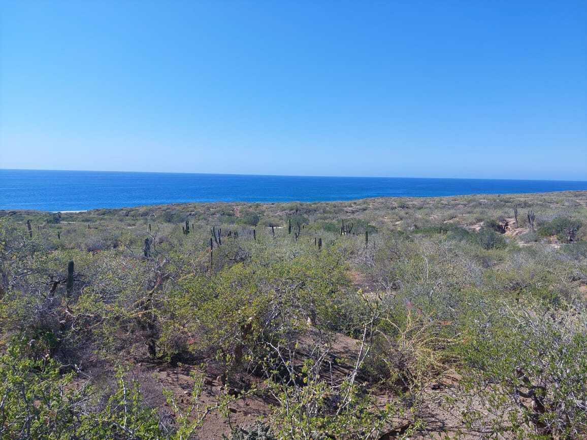 SIN NOMBRE, 19.5 HECTAREAS ELIAS CALLES