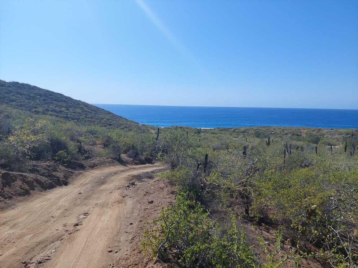 SIN NOMBRE, 19.5 HECTAREAS ELIAS CALLES