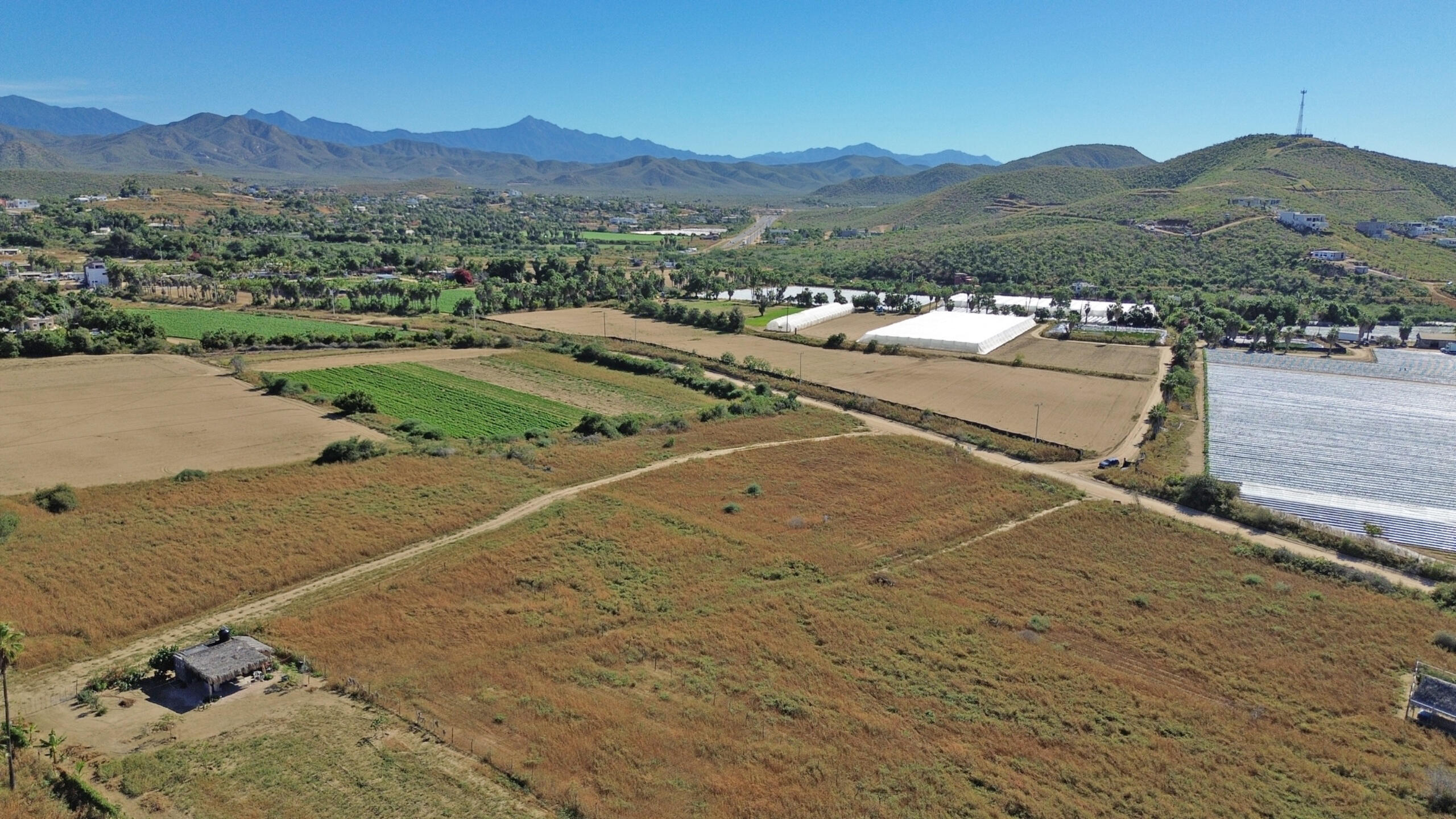 Baja Homestead Lot 2239