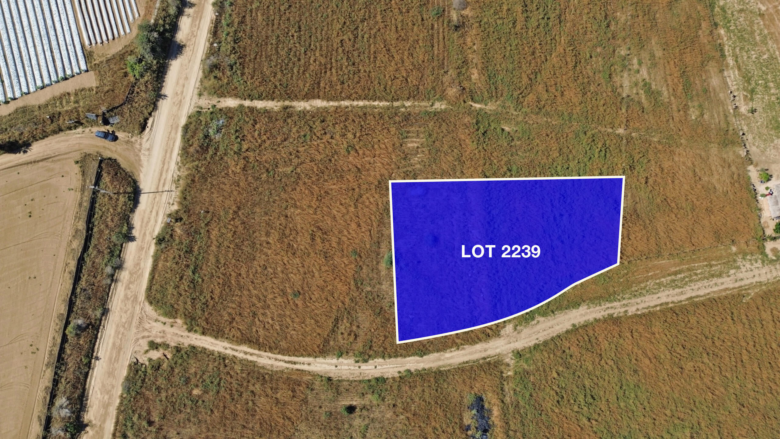 Baja Homestead Lot 2239