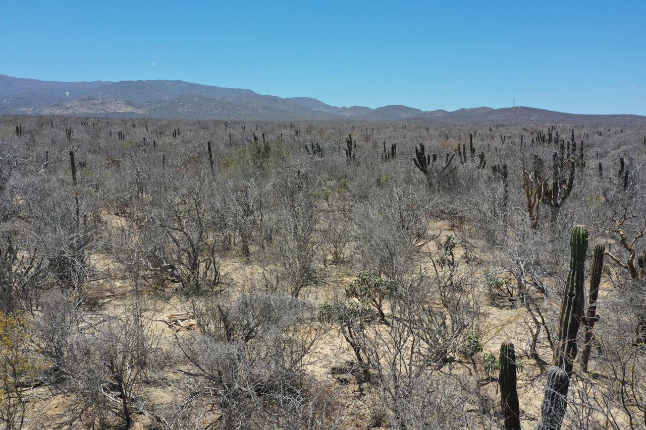Lote 39 s/n, Vista Mar