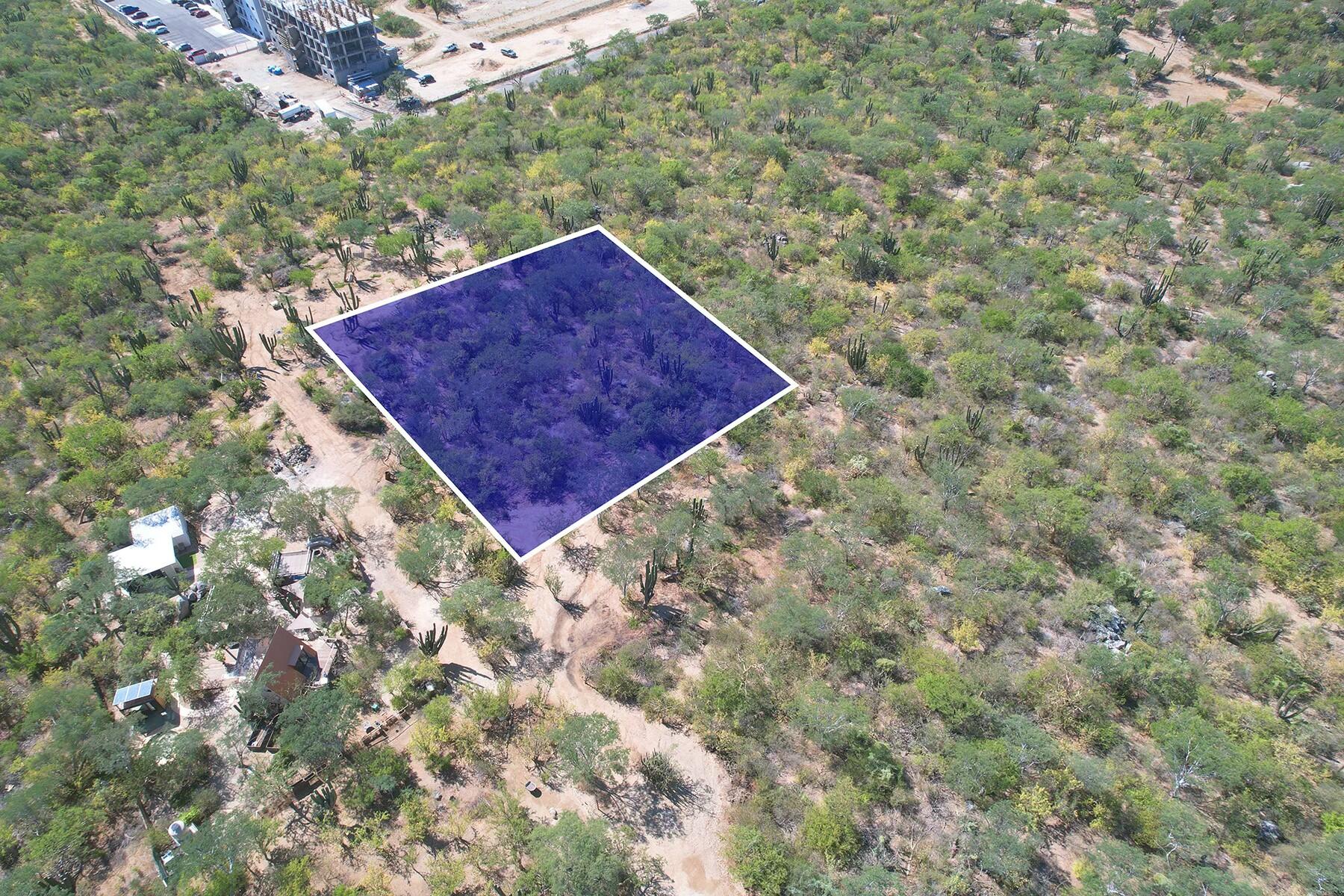 Parcela 201 El Tezal
