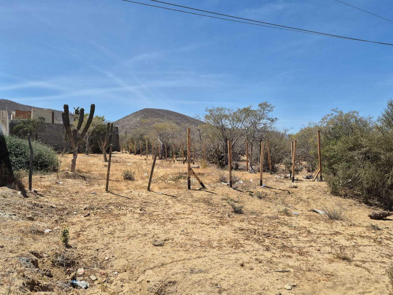 S/N CARRETERA TRANSPENINSULAR, TERRENO LOS BARRILES