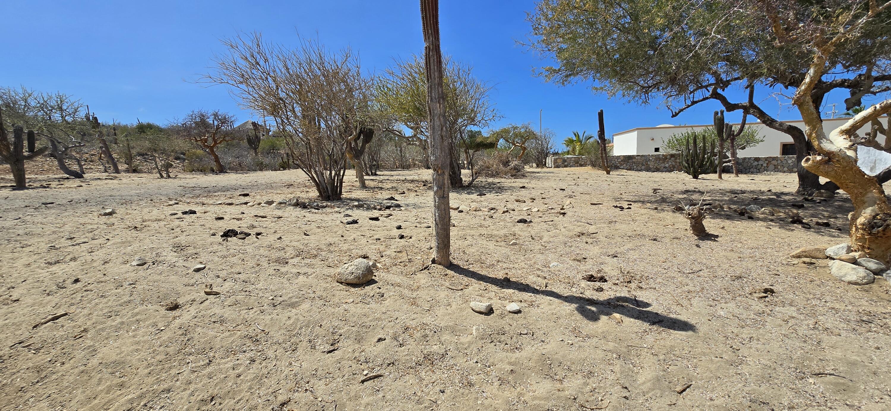 Los Barriles-Santa Teresa, ABP #38