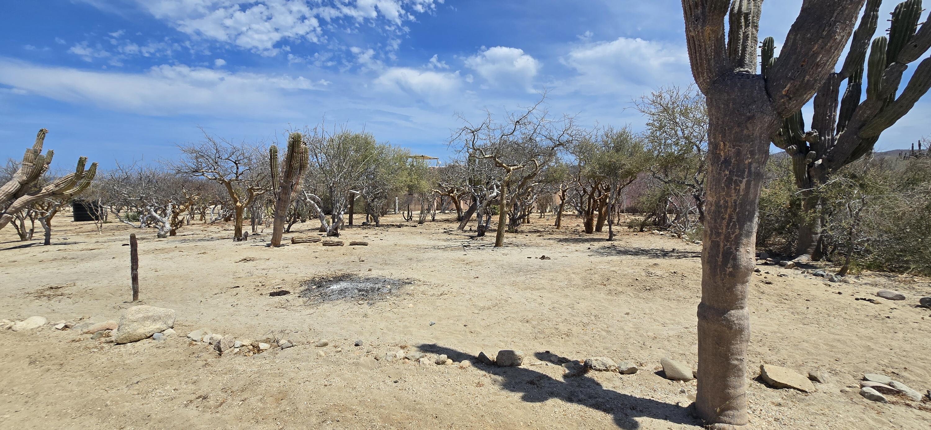 Los Barriles-Santa Teresa, ABP #10