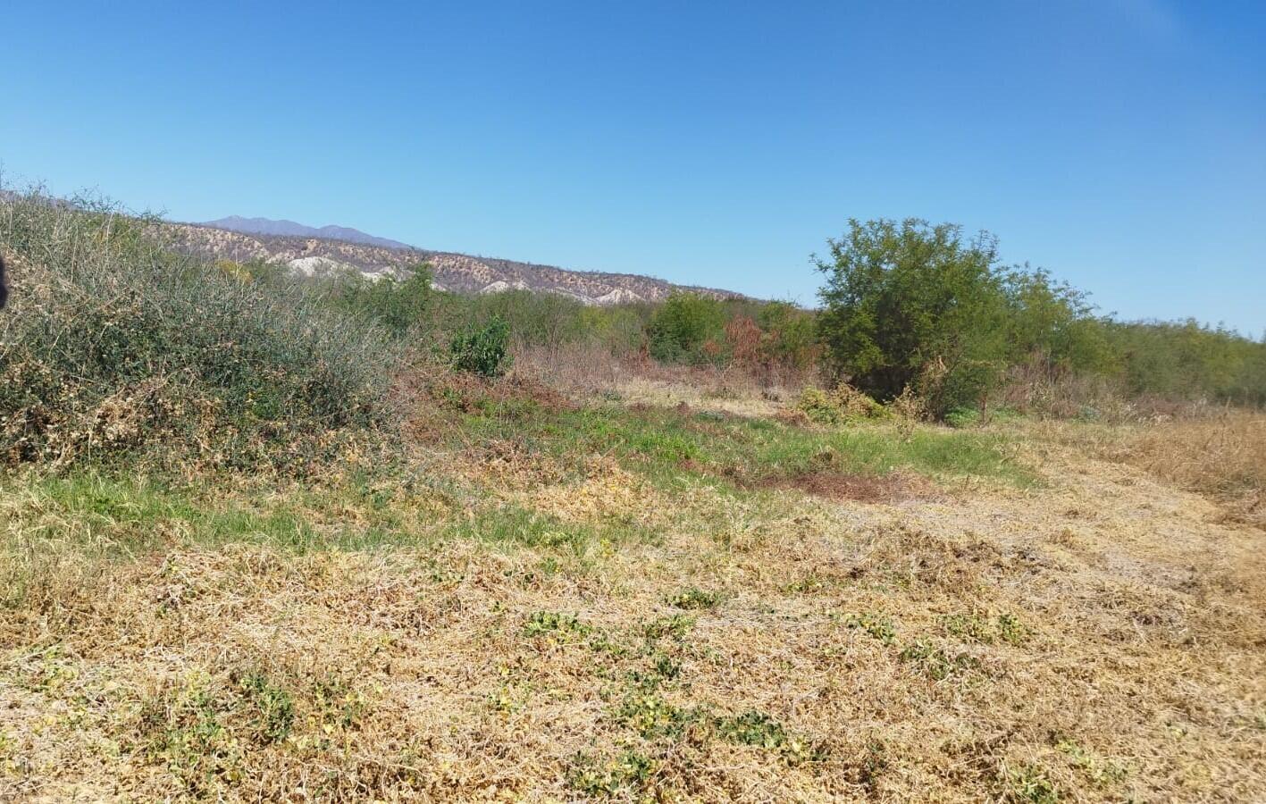 S/N CAMINO A MATANCITAS, DC ORGANICS LAND 23