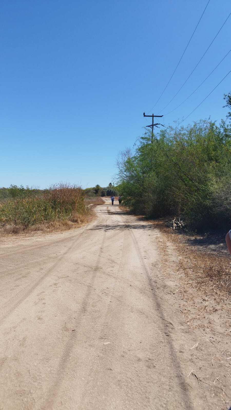S/N CAMINO A MATANCITAS, DC ORGANICS LAND 05
