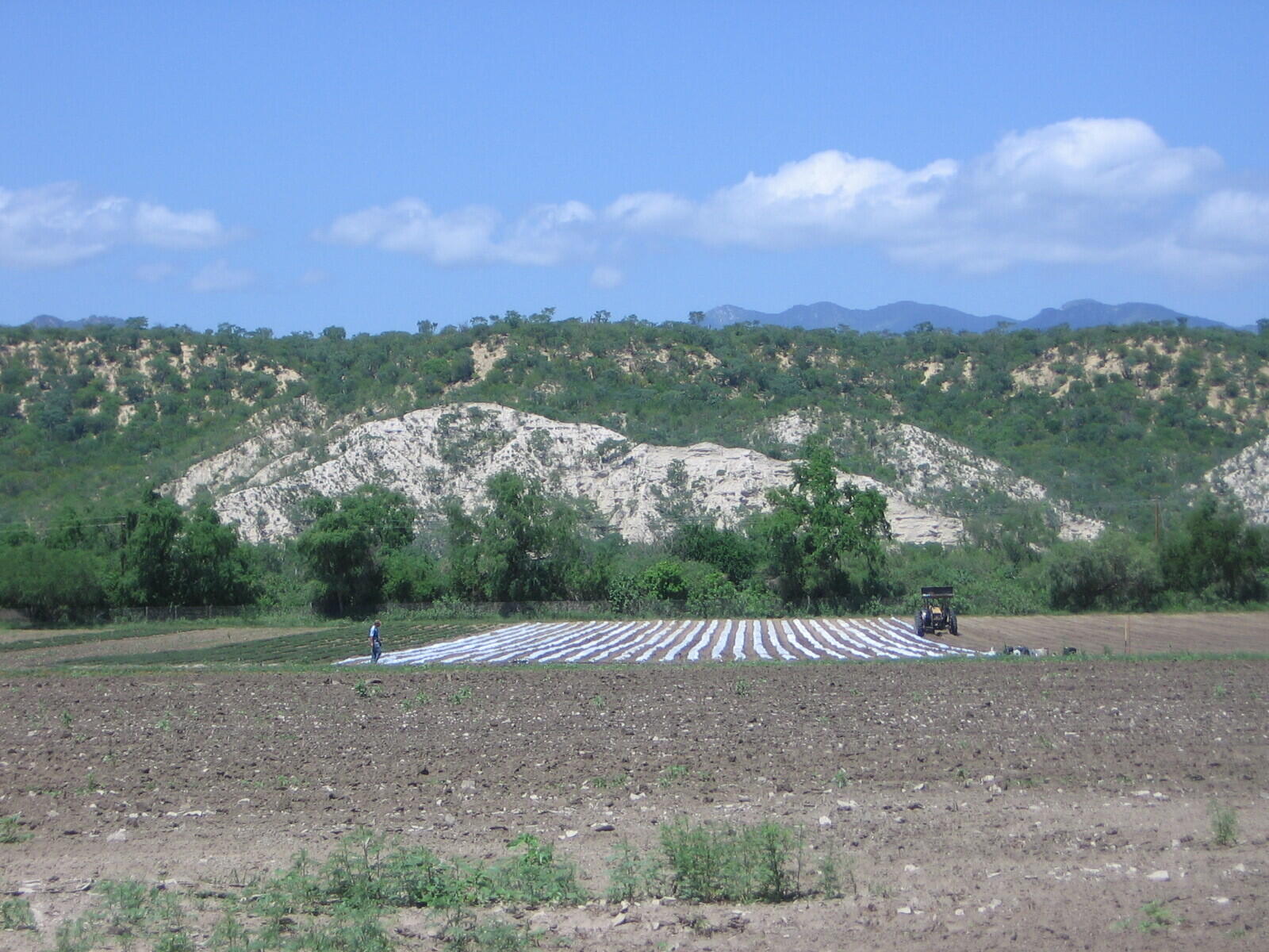 S/N CAMINO A MATANCITAS, DC ORGANICS 11