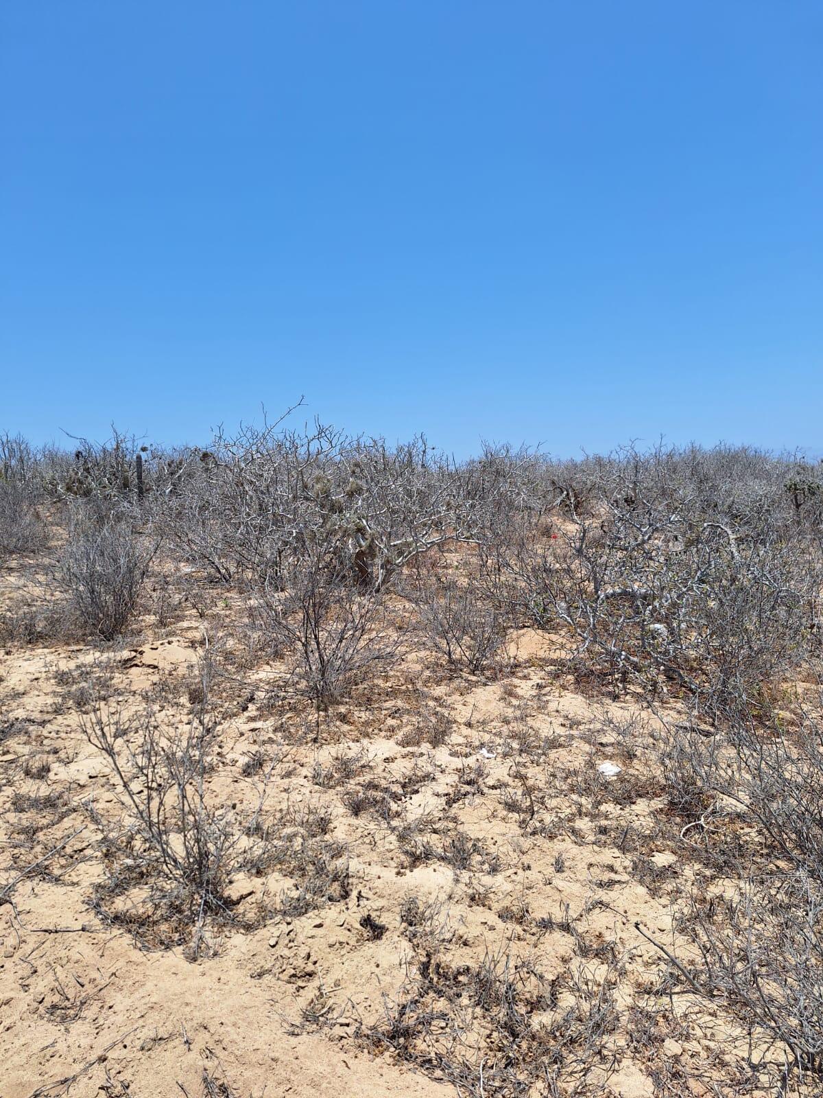 Lomas de Agua Blanca