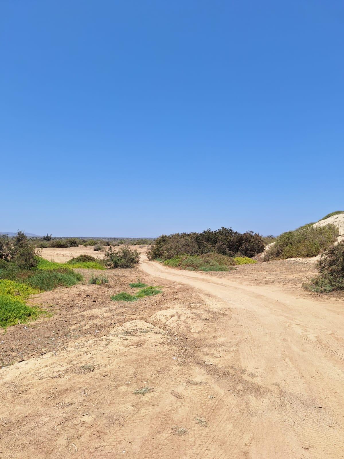 Lomas de Agua Blanca