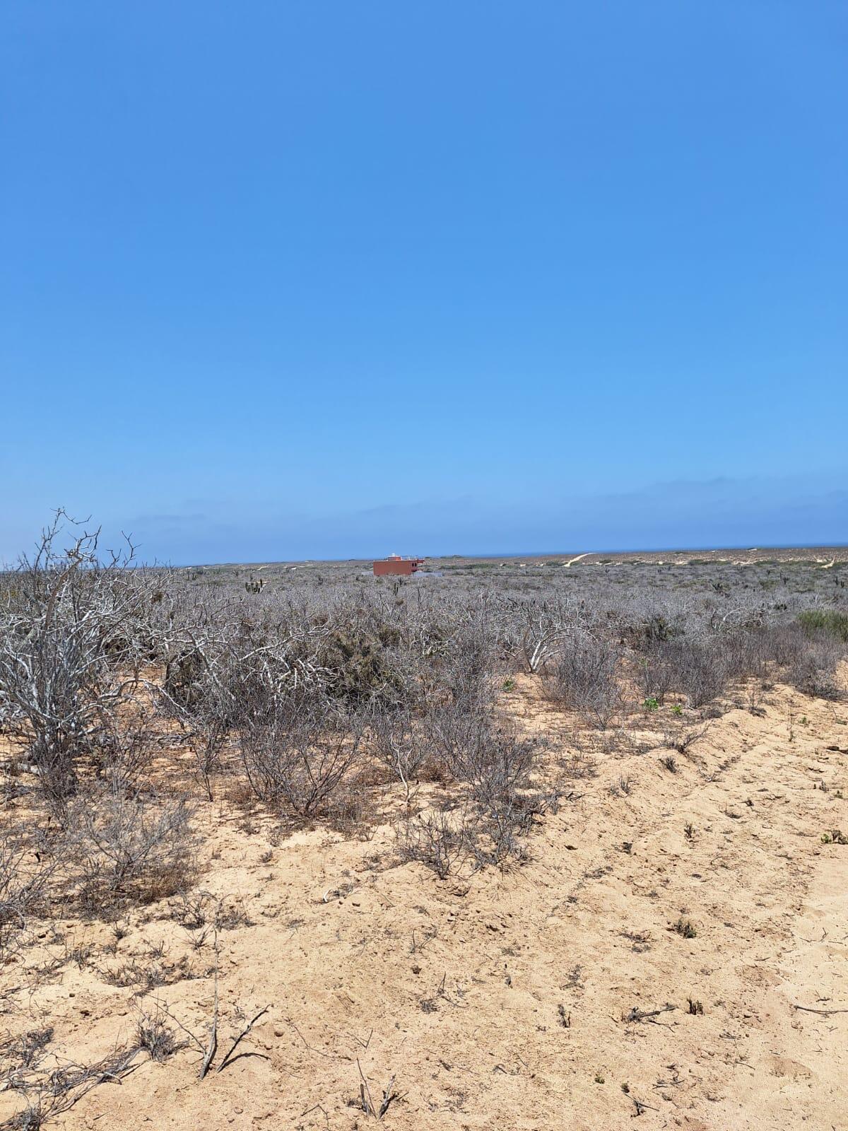 Lomas de Agua Blanca
