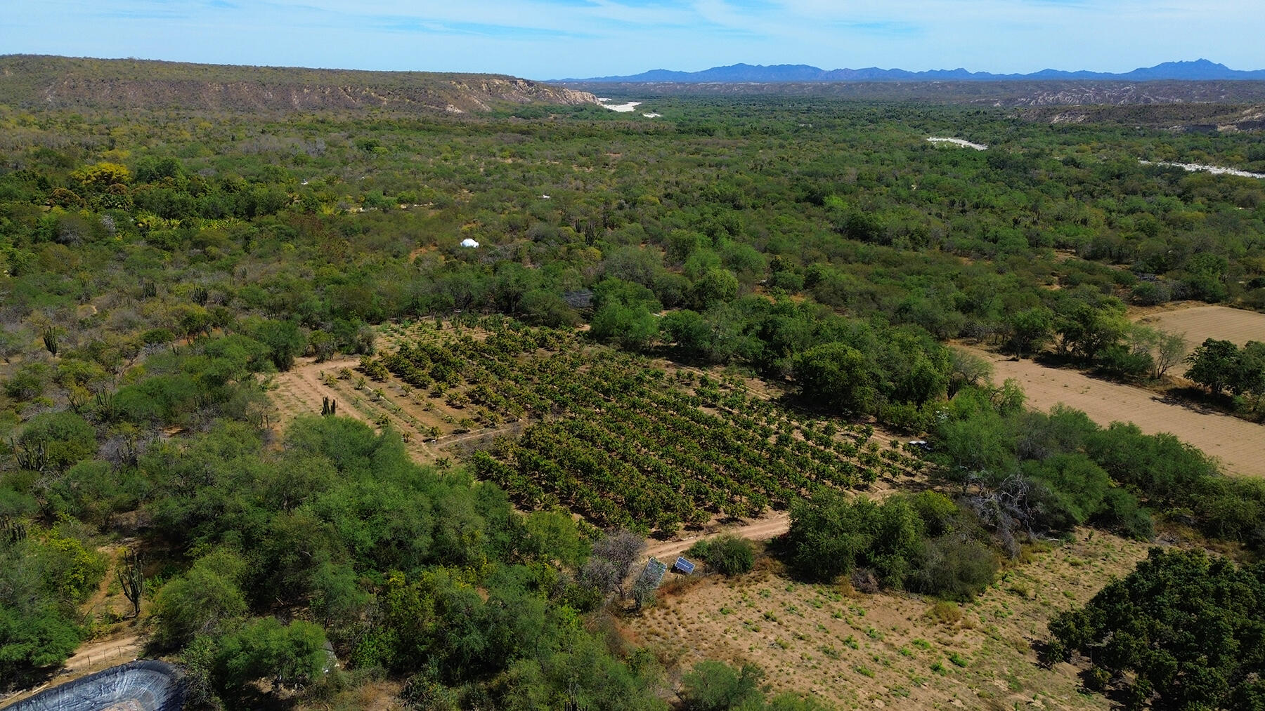 0 0, Organics Fruit Land