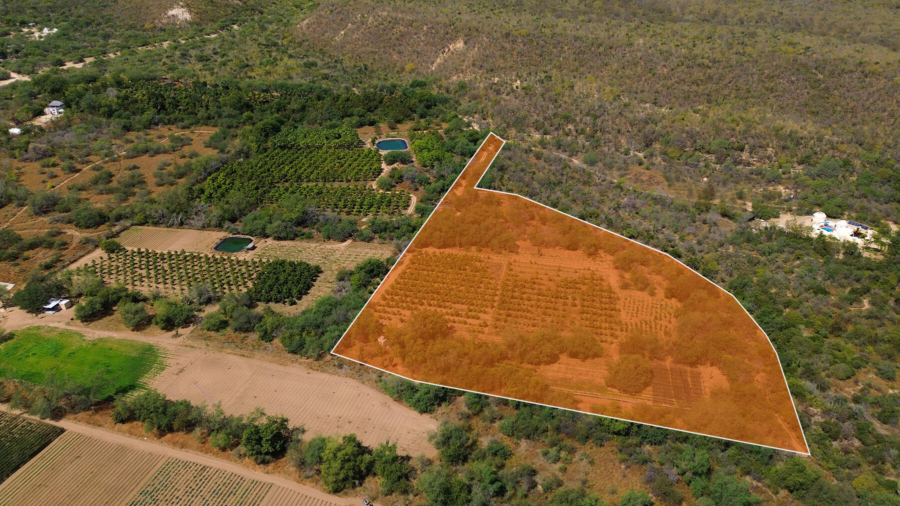 0 0, Organics Fruit Land