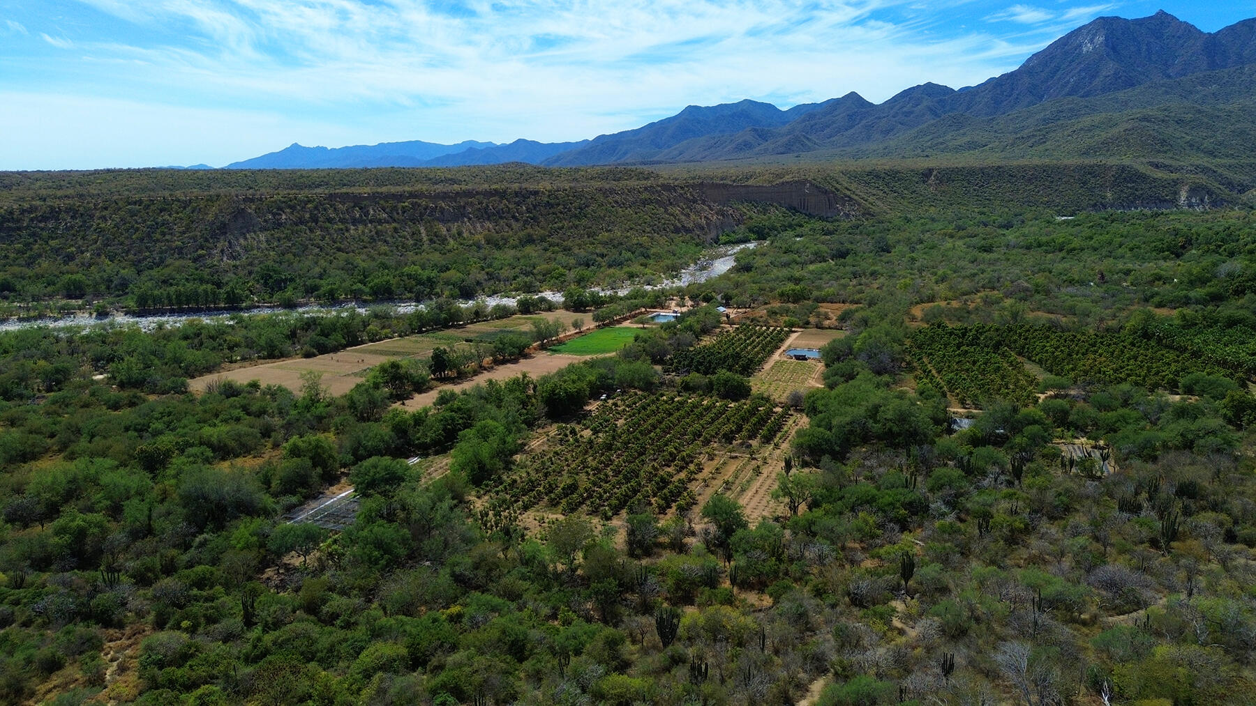 0 0, Organics Fruit Land