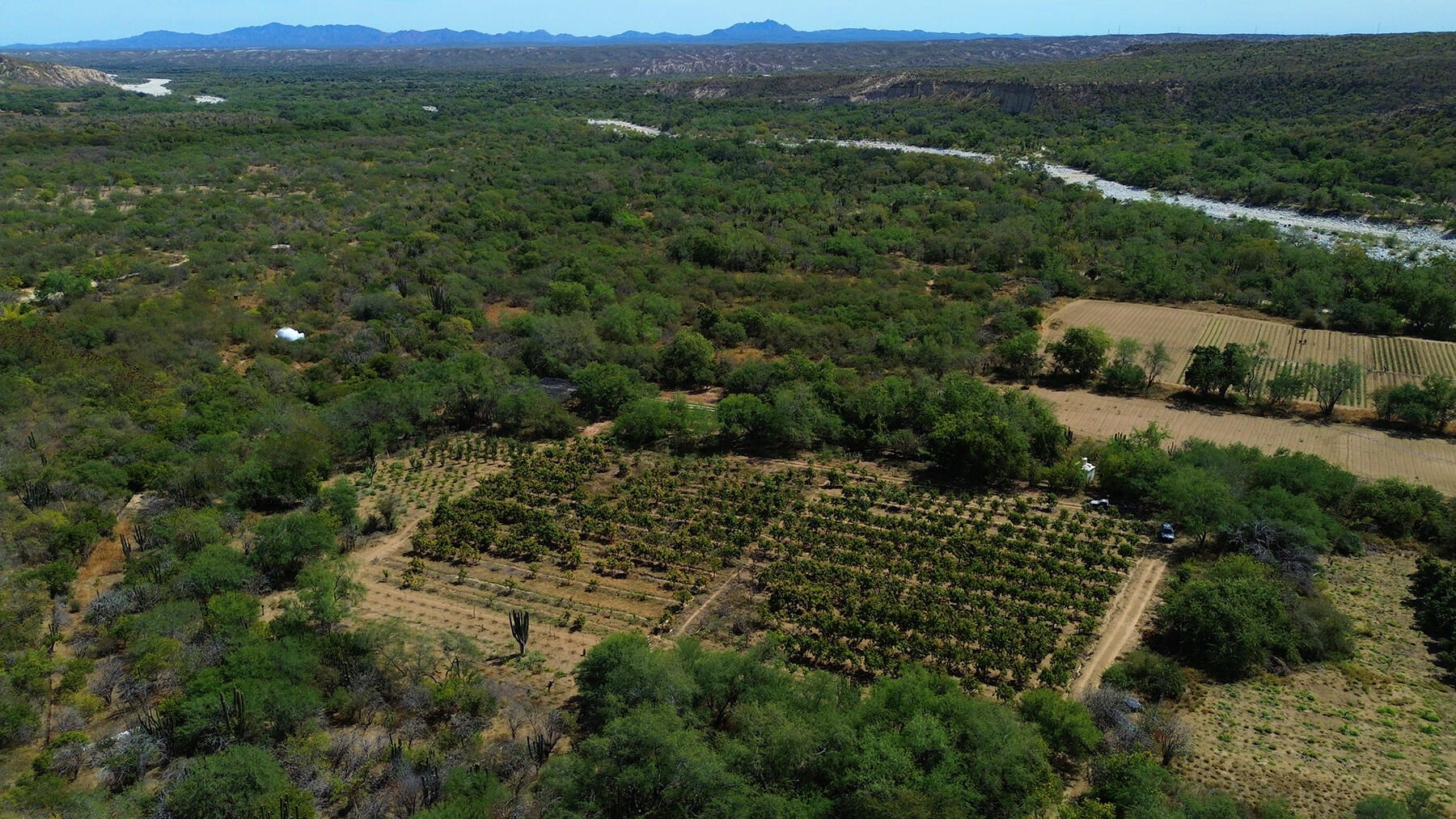 0 0, Organics Fruit Land