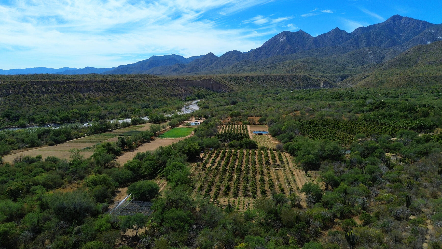 0 0, Organics Fruit Land