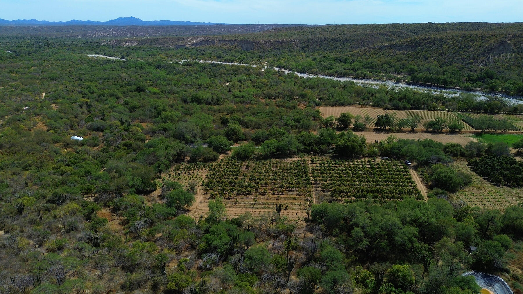 0 0, Organics Fruit Land