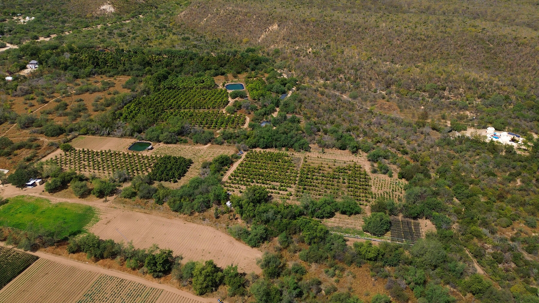 0 0, Organics Fruit Land