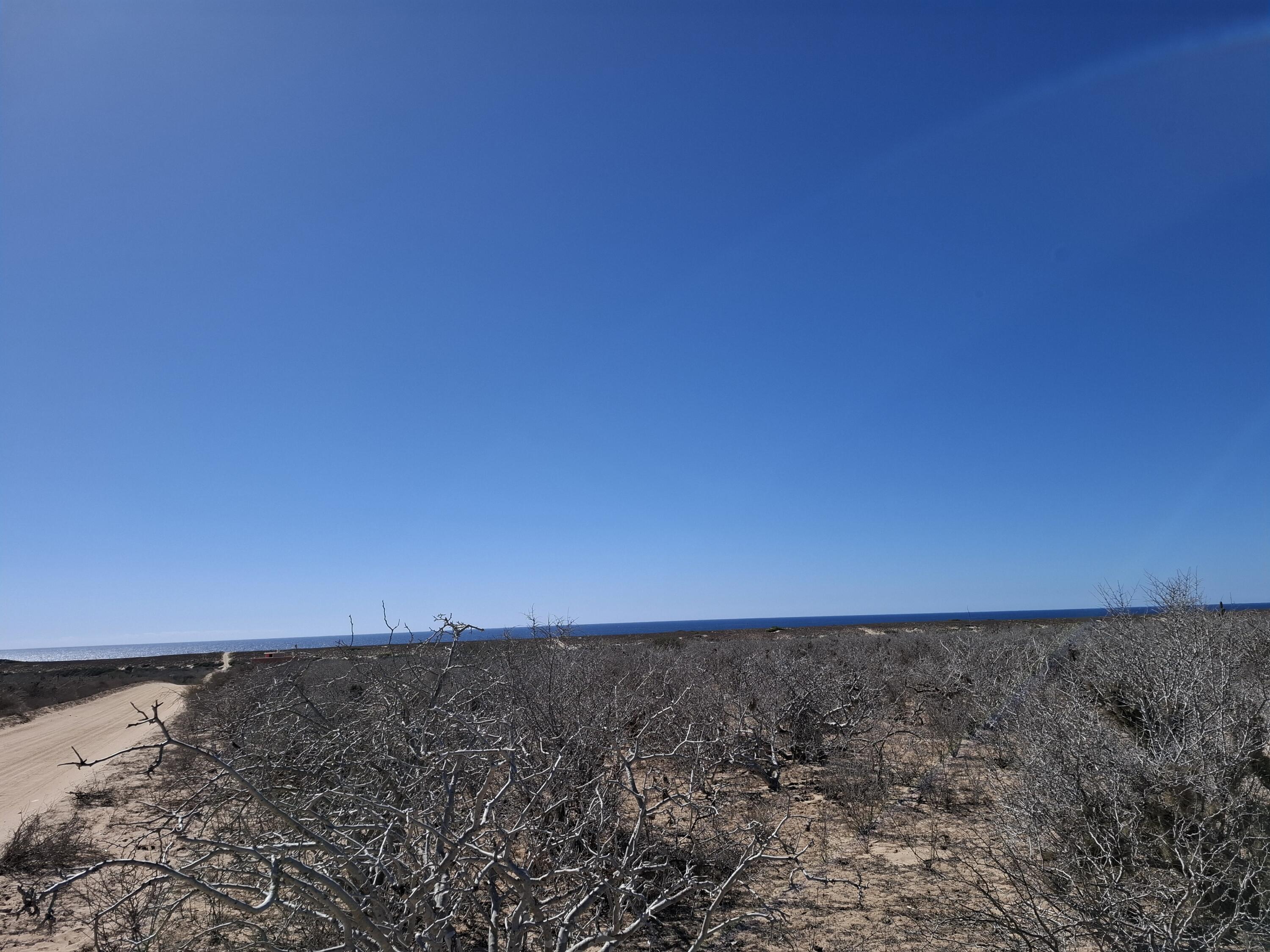 Lot 20 Camino 1, Agua Blanca Lot Hill