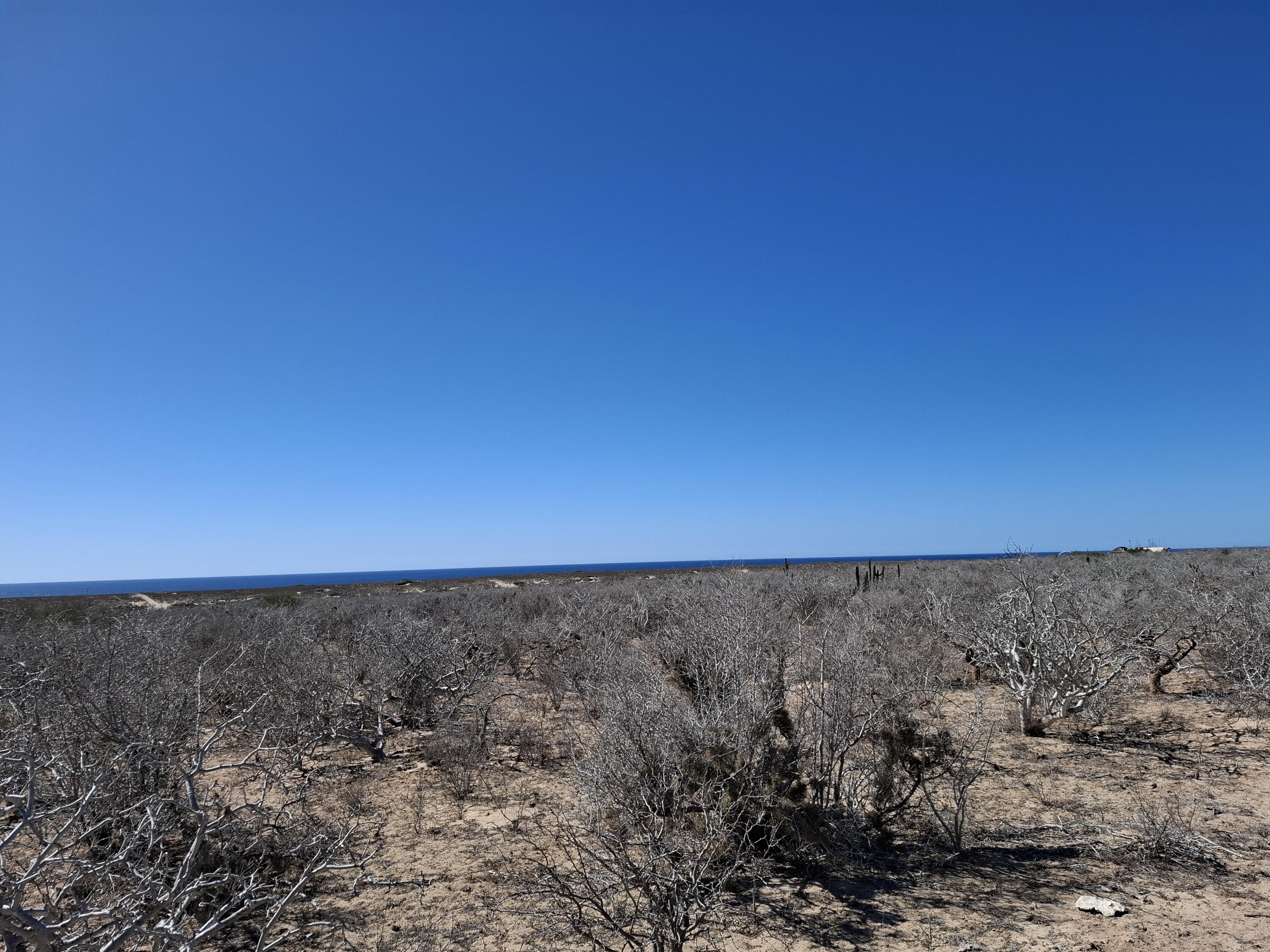 Lot 20 Camino 1, Agua Blanca Lot Hill