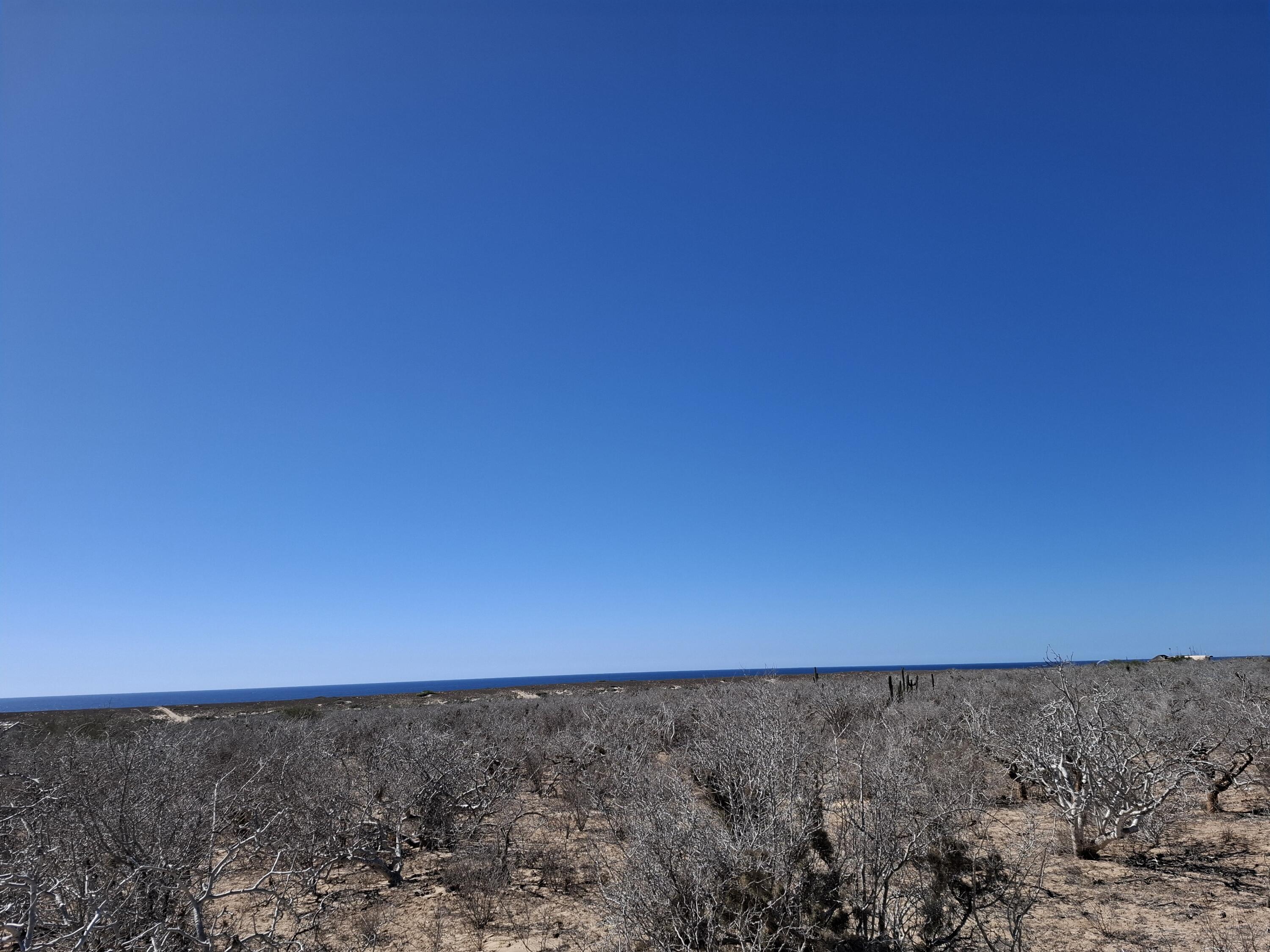 Lot 20 Camino 1, Agua Blanca Lot Hill