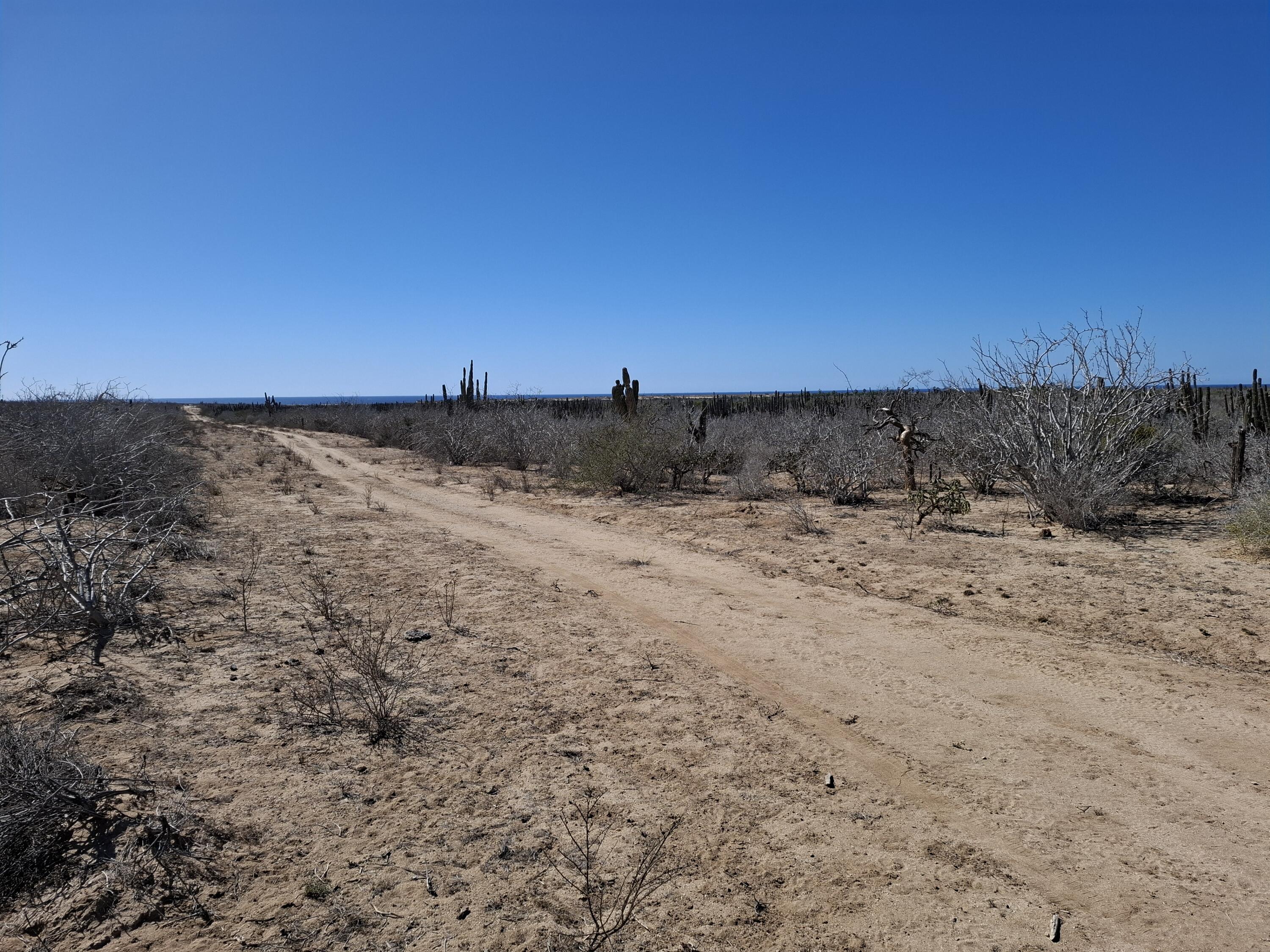 Lot 20 Camino 1, Agua Blanca Lot Hill