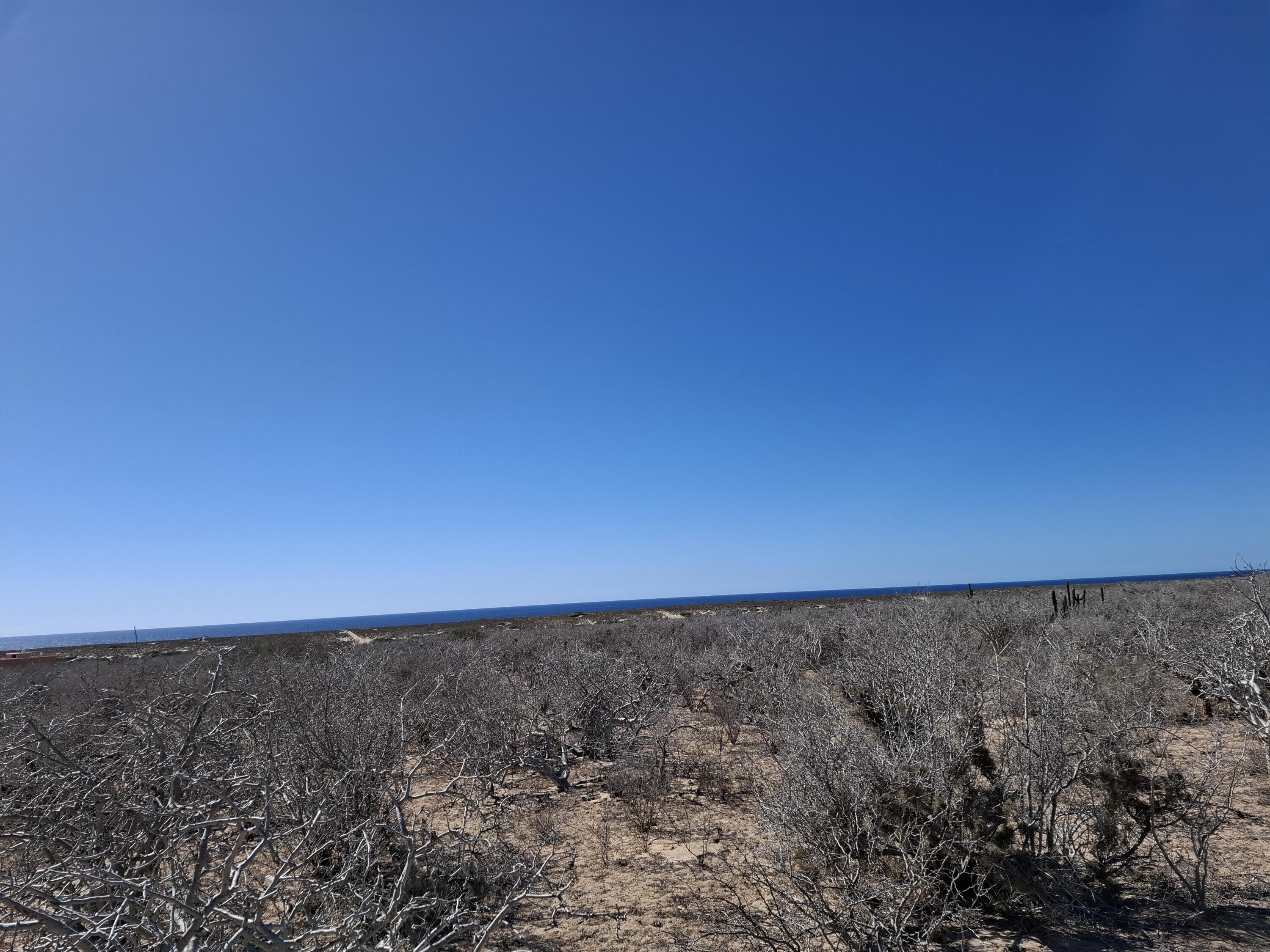 Lot 20 Camino 1, Agua Blanca Lot Hill