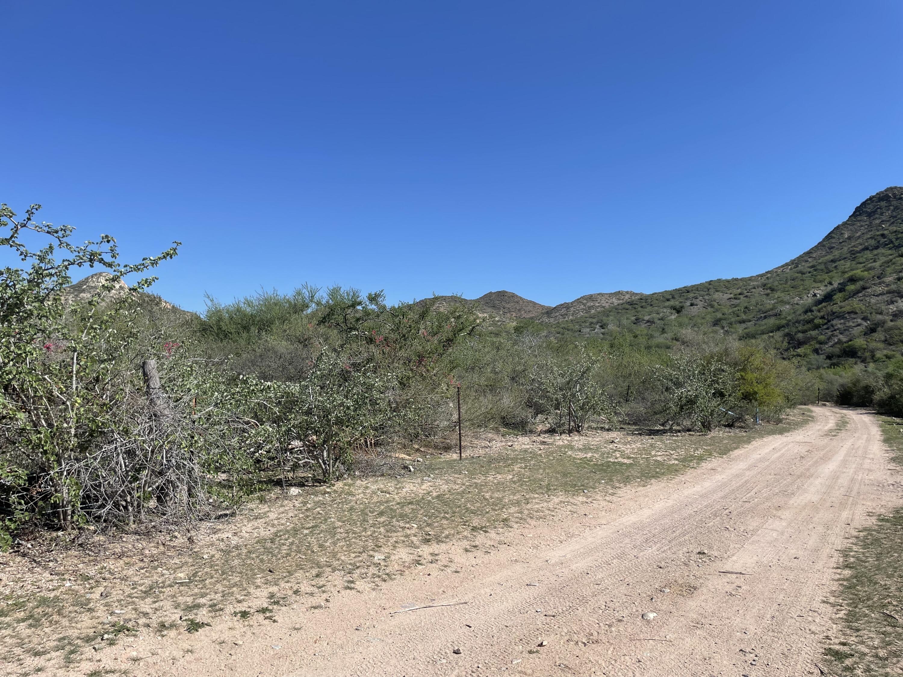 Lots 30&31, Cabo Pulmo Phase III