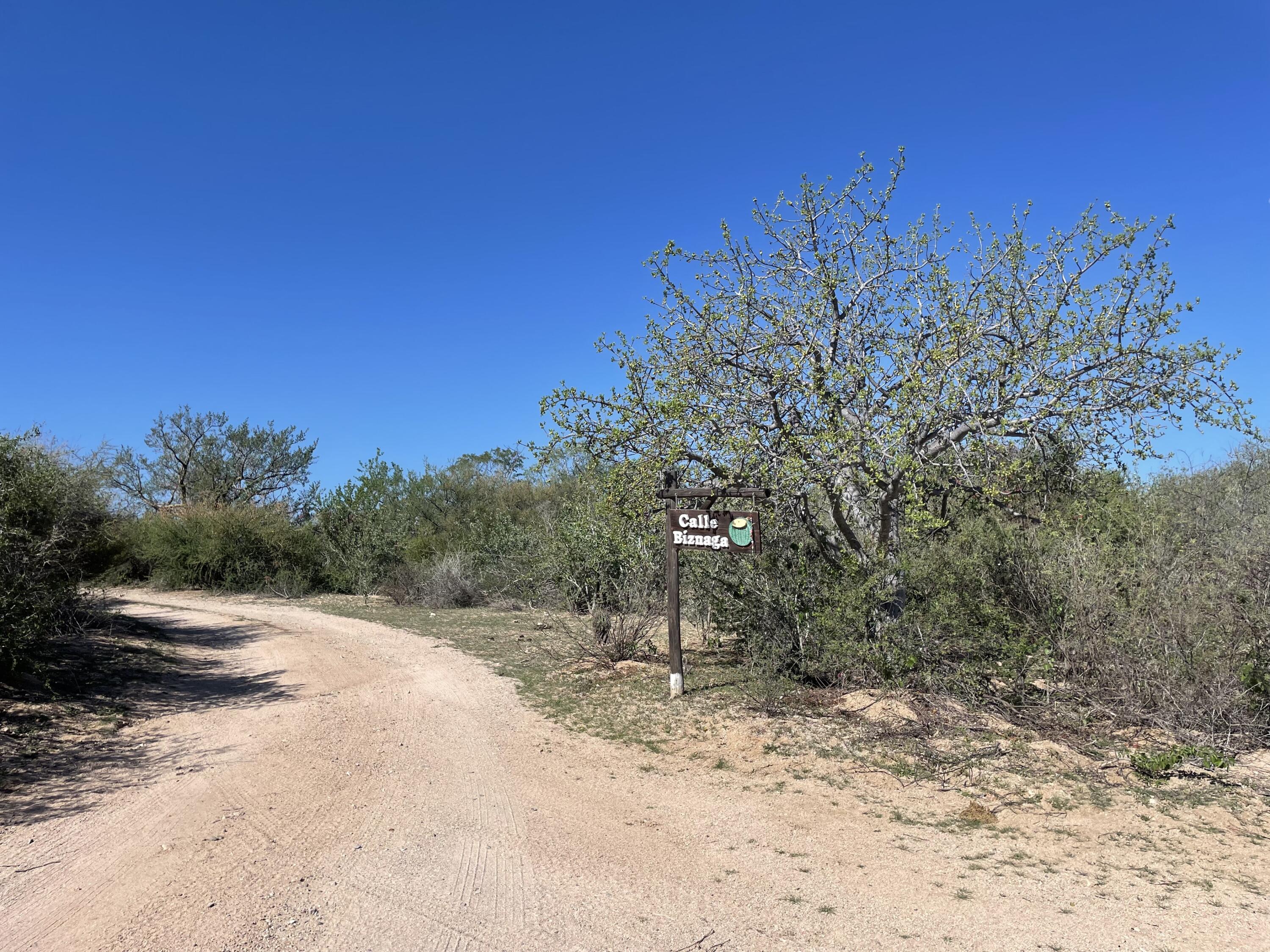 Lots 30&31, Cabo Pulmo Phase III