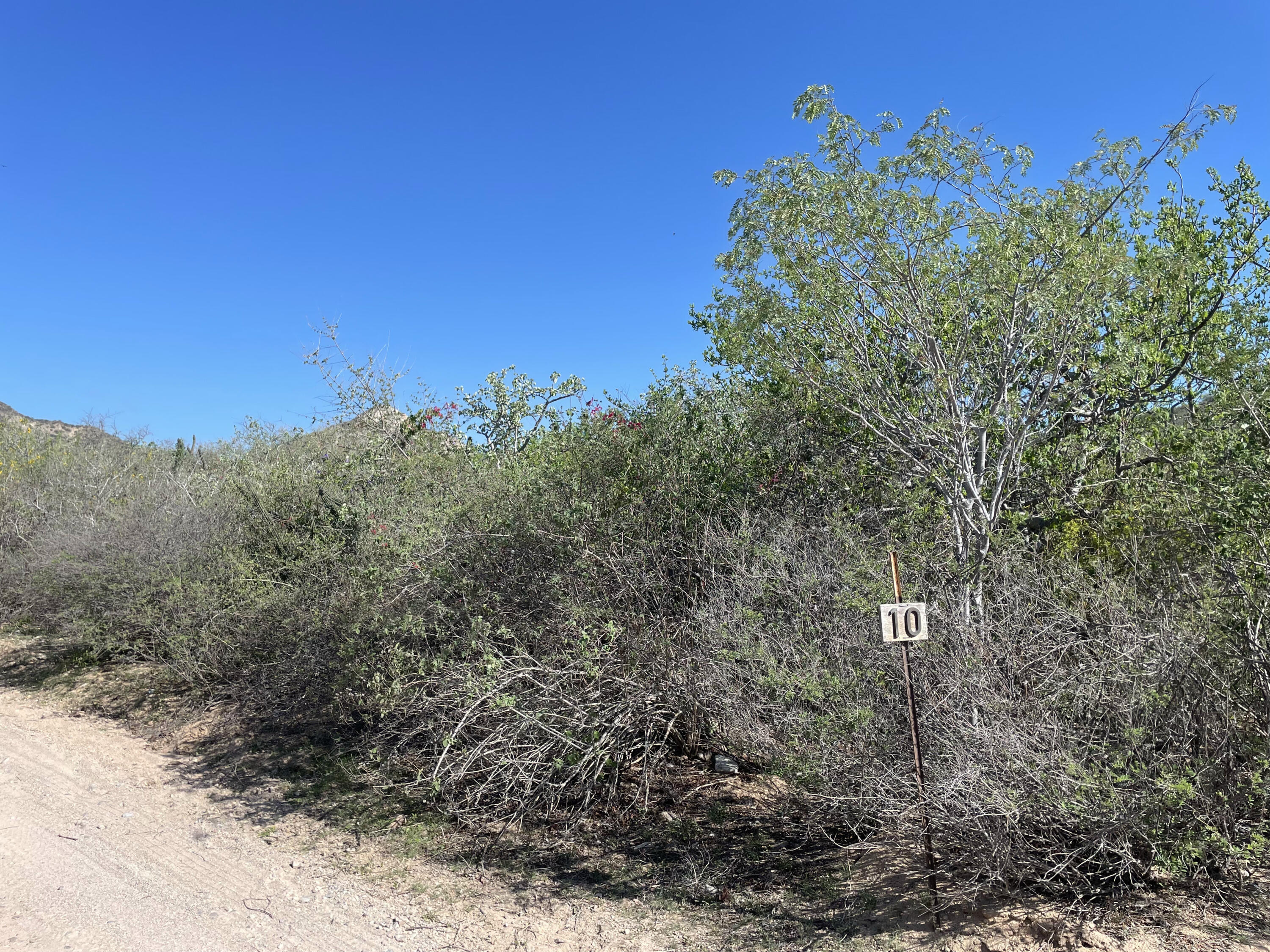 08,09 & 10, Cabo Pulmo Phase III