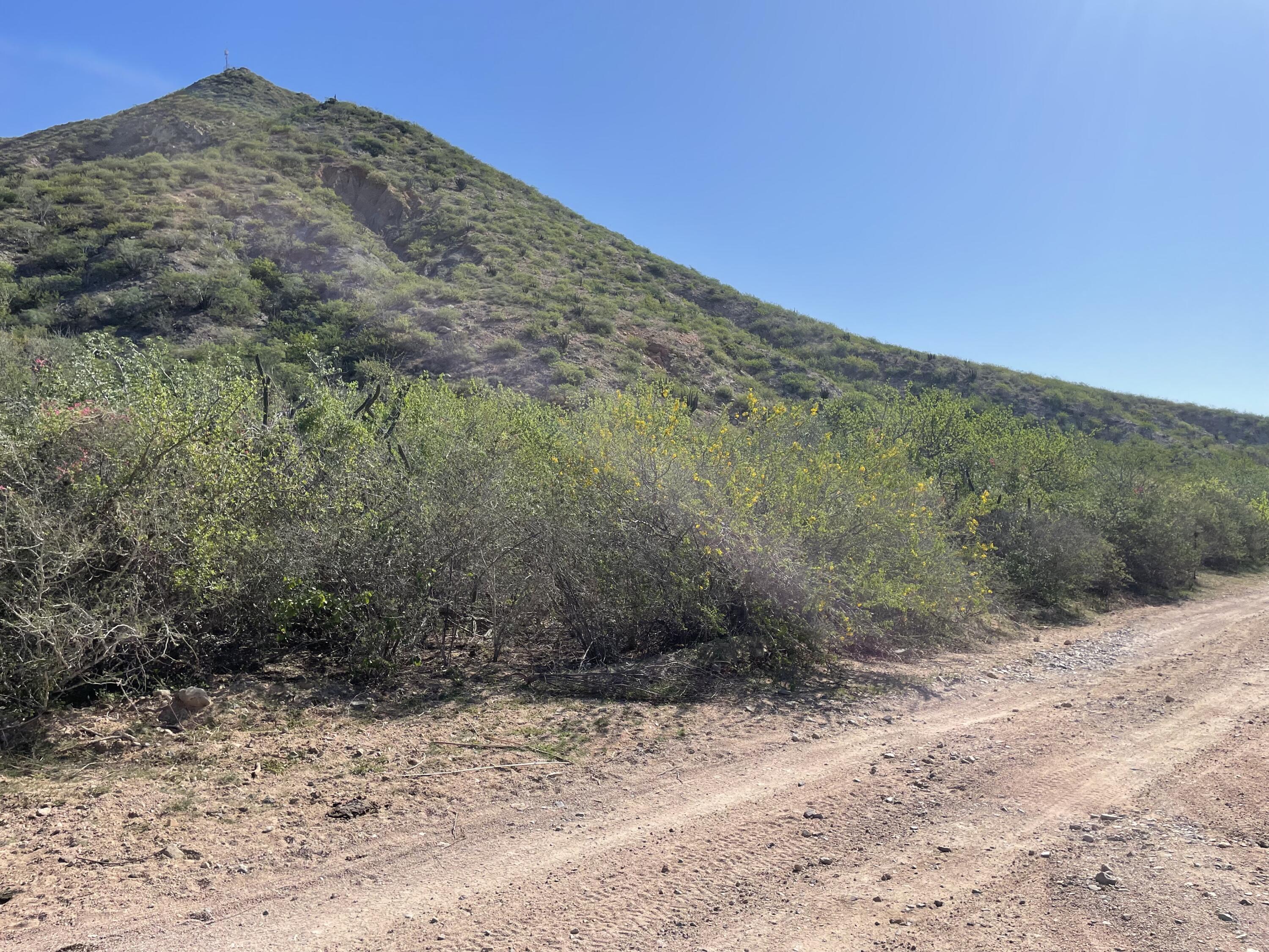 08,09 & 10, Cabo Pulmo Phase III