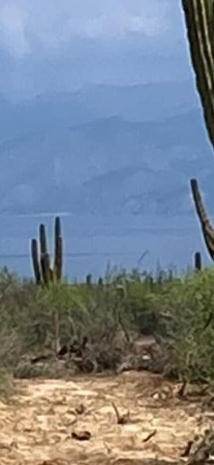 CALLE DE ACCESO PARCELA 374 Z1, BAHIA TURQUEZA OCEAN VIEW