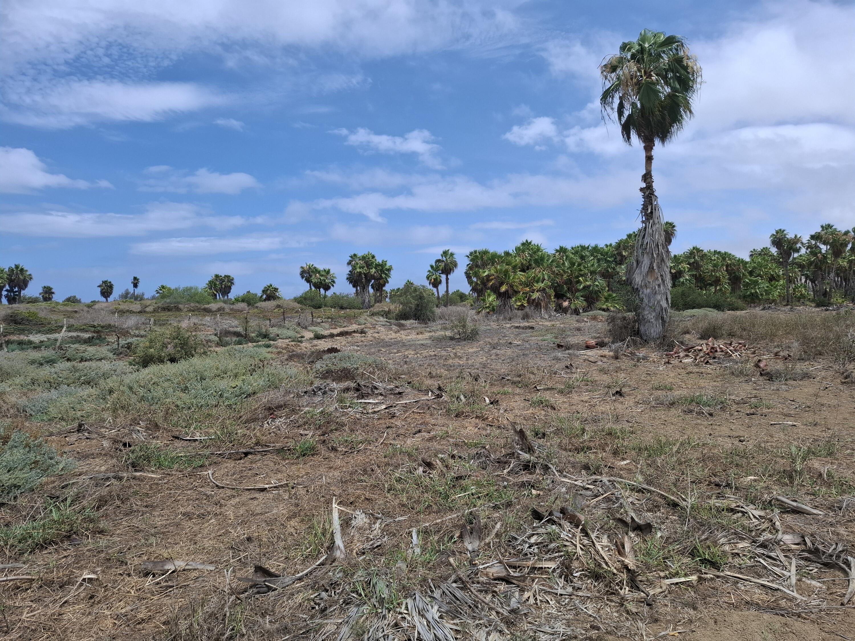 N/A N/A, Elias Beach Lot 2