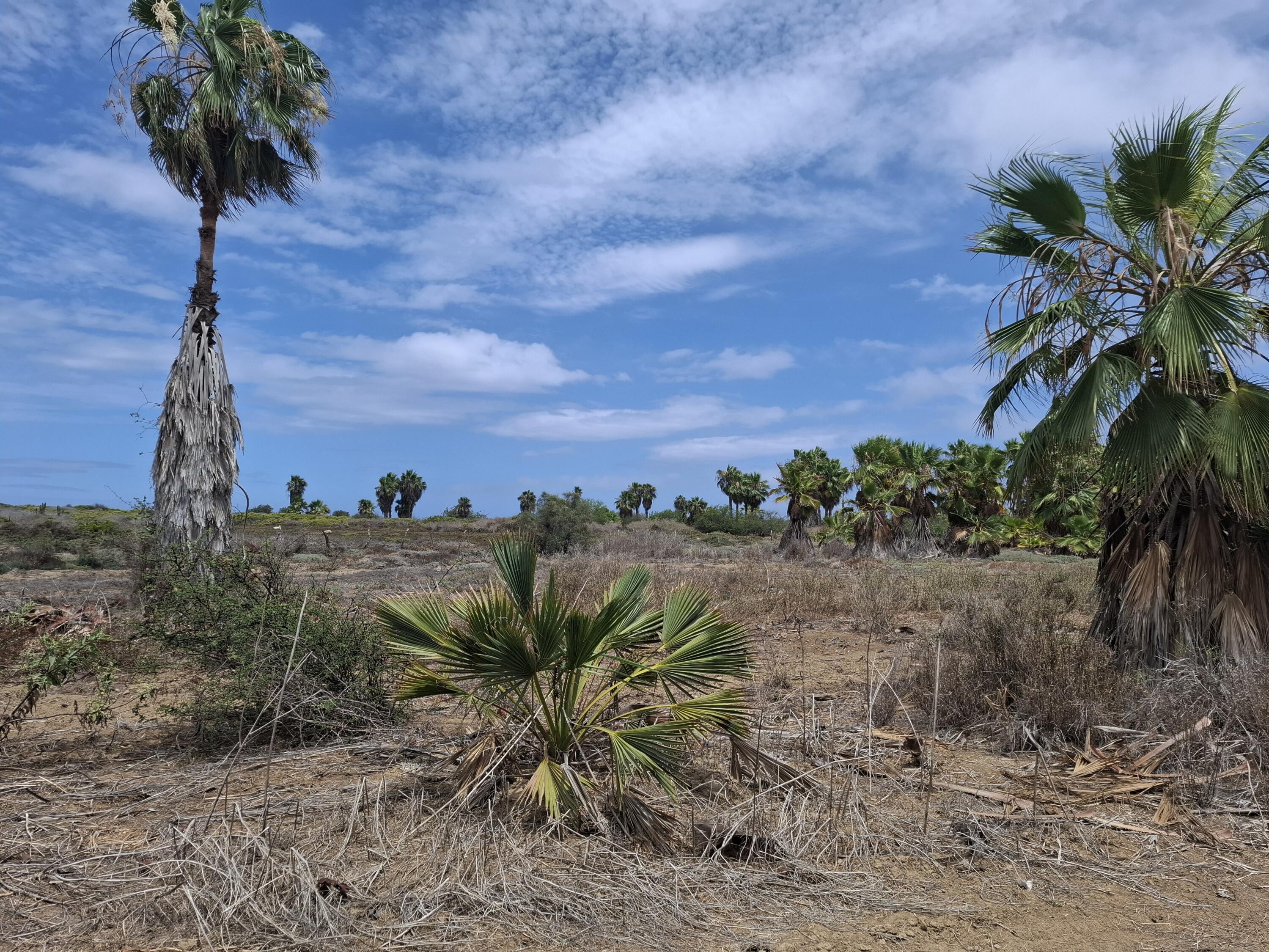 N/A N/A, Elias Beach Lot 3