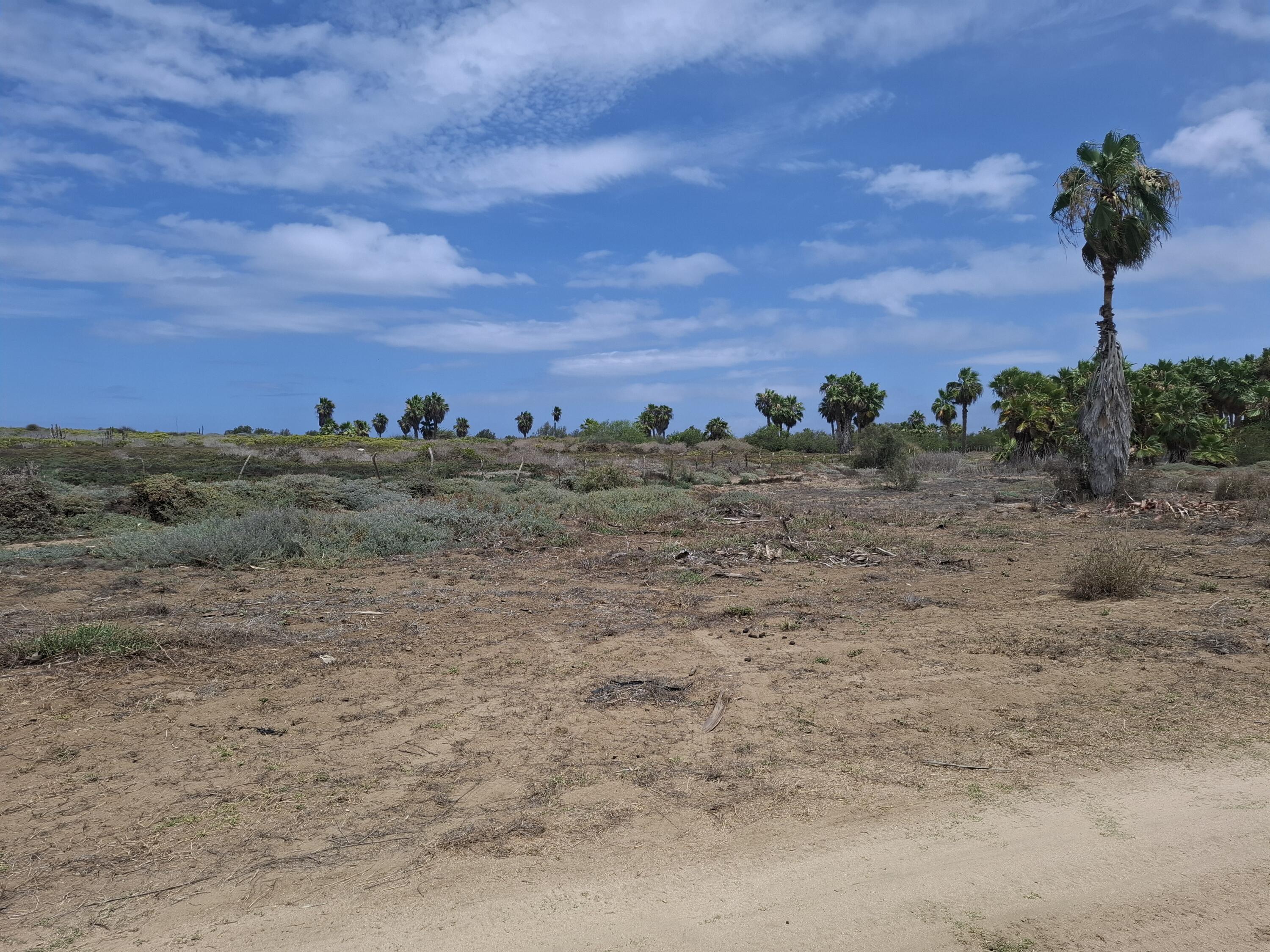 N/A N/A, Elias Beach Lot 3