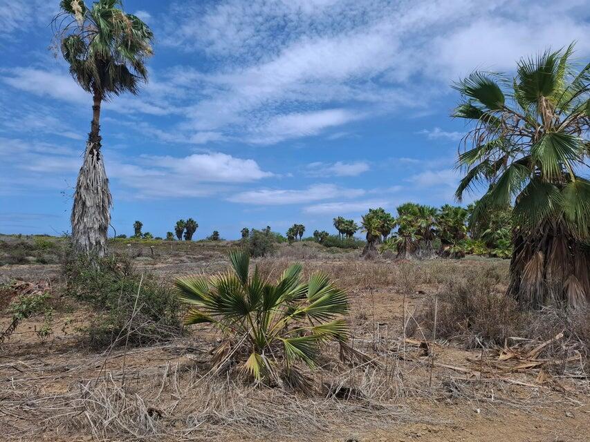 N/A N/A, Elias Beach Lot 4