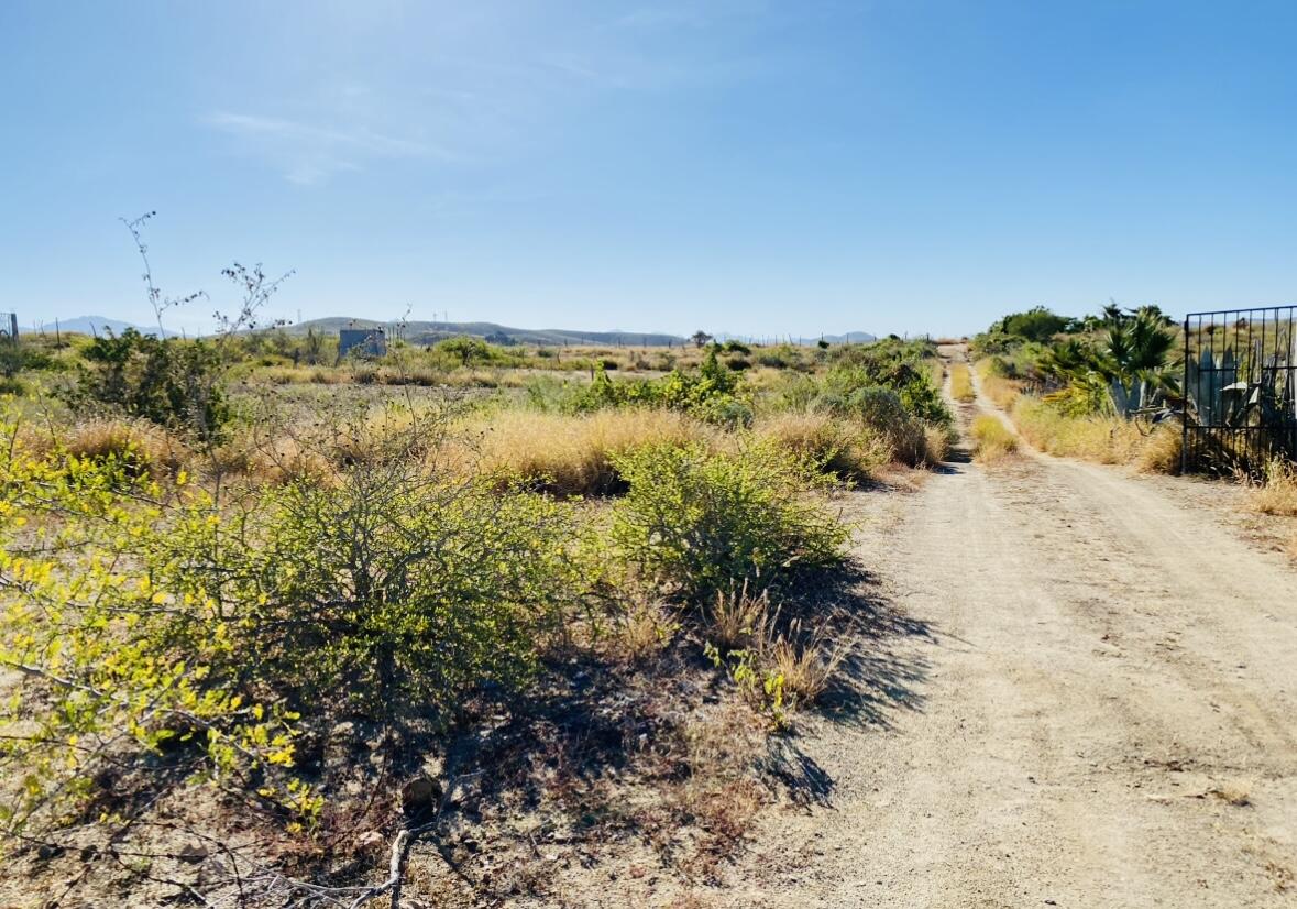 Vuelo del Aguila, Todos Santos - Serene Lot 002