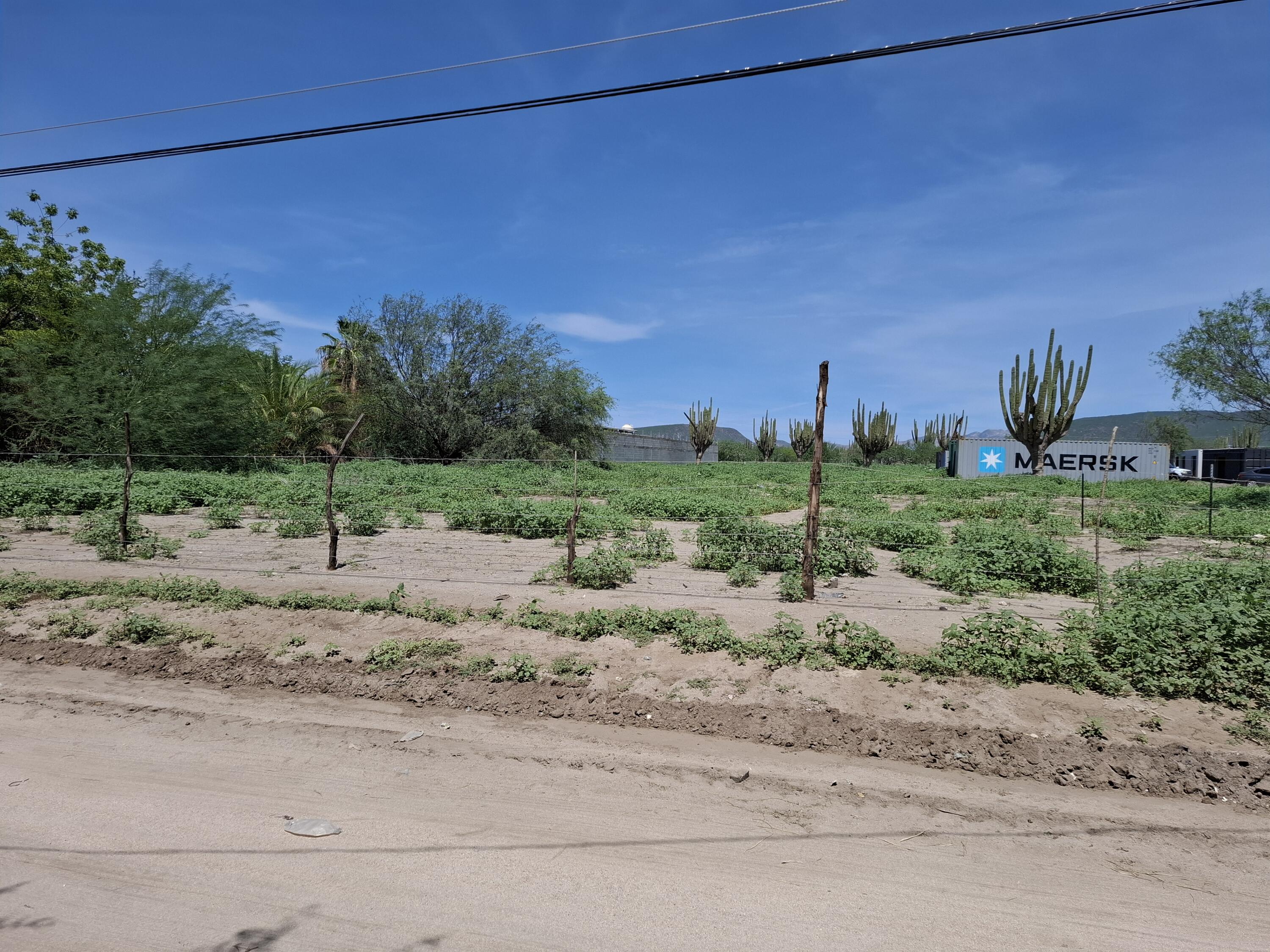 N/A Calle de Accesso, Lote David II