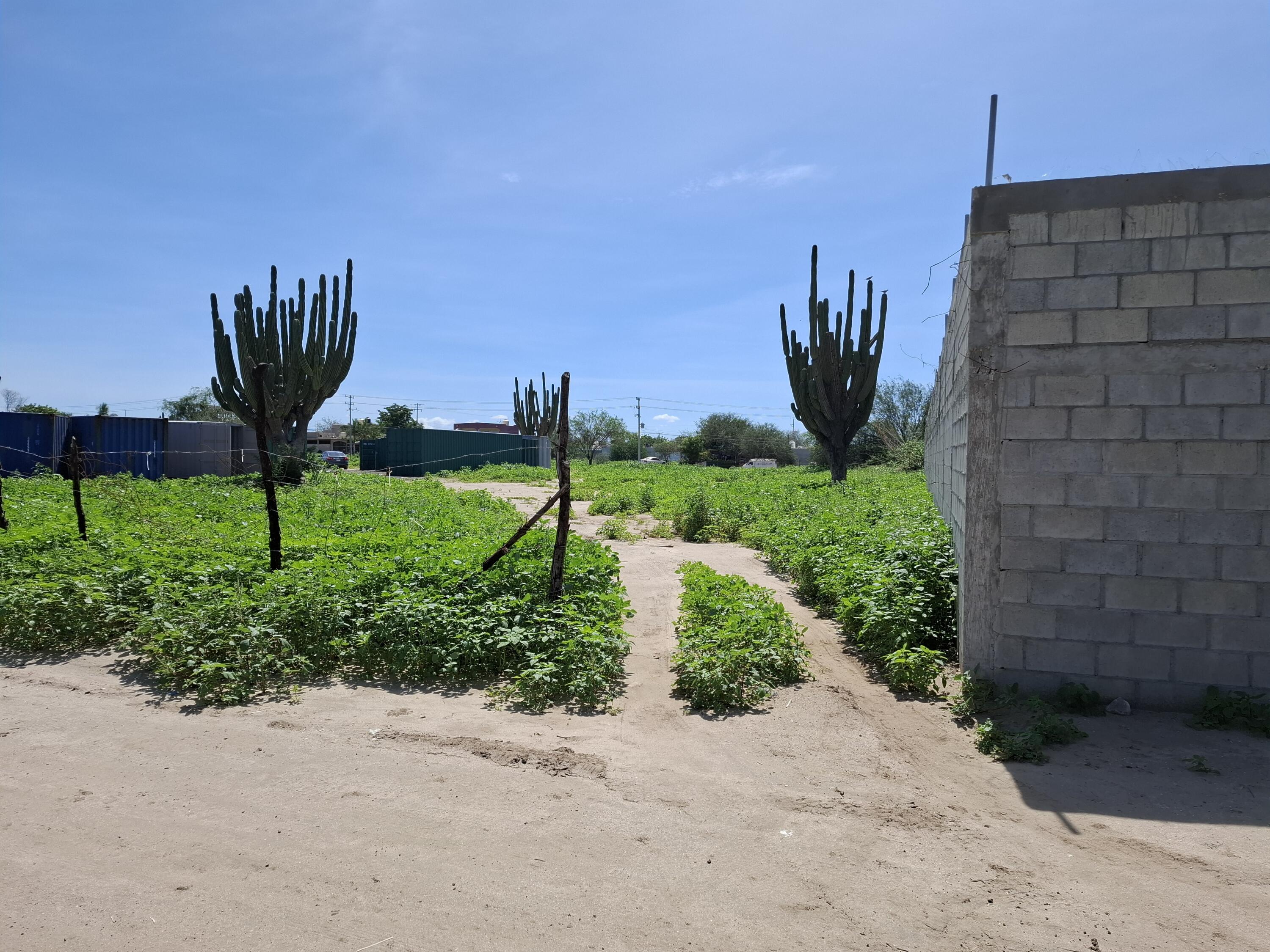 N/A Calle de Accesso, Lote David