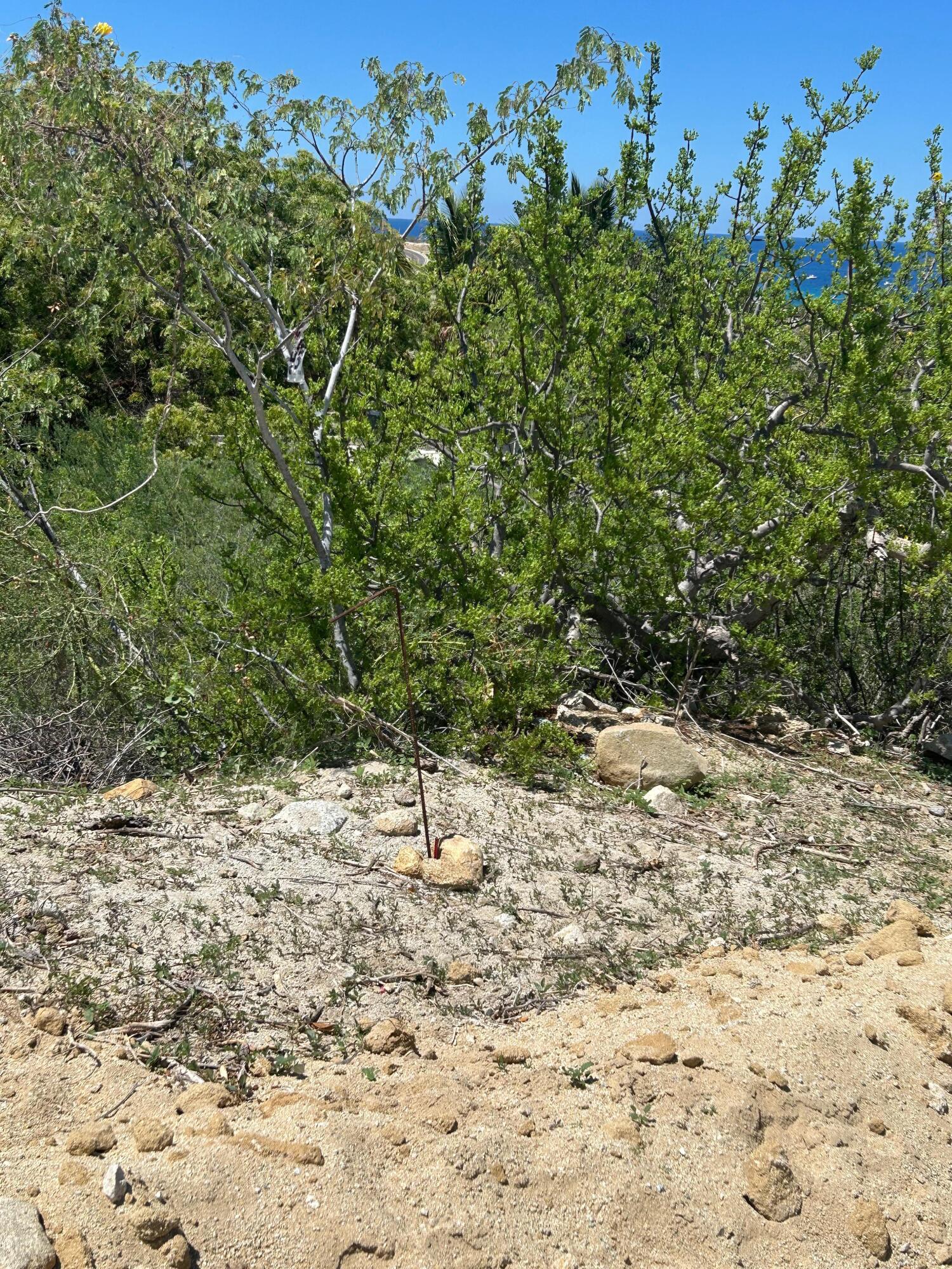 Lote 19 Manzana J, Lote Dsyree