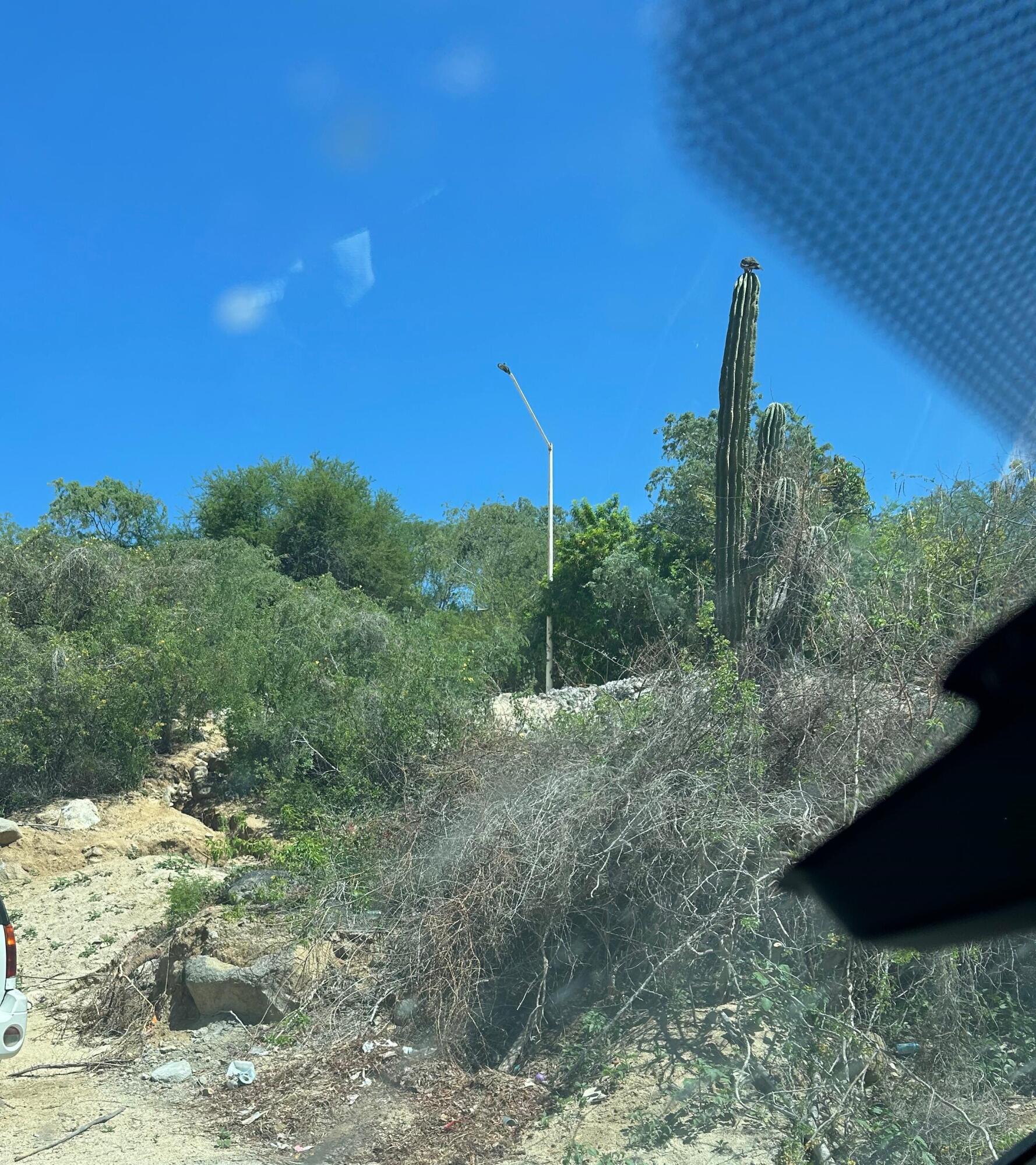 Lote 19 Manzana J, Lote Dsyree