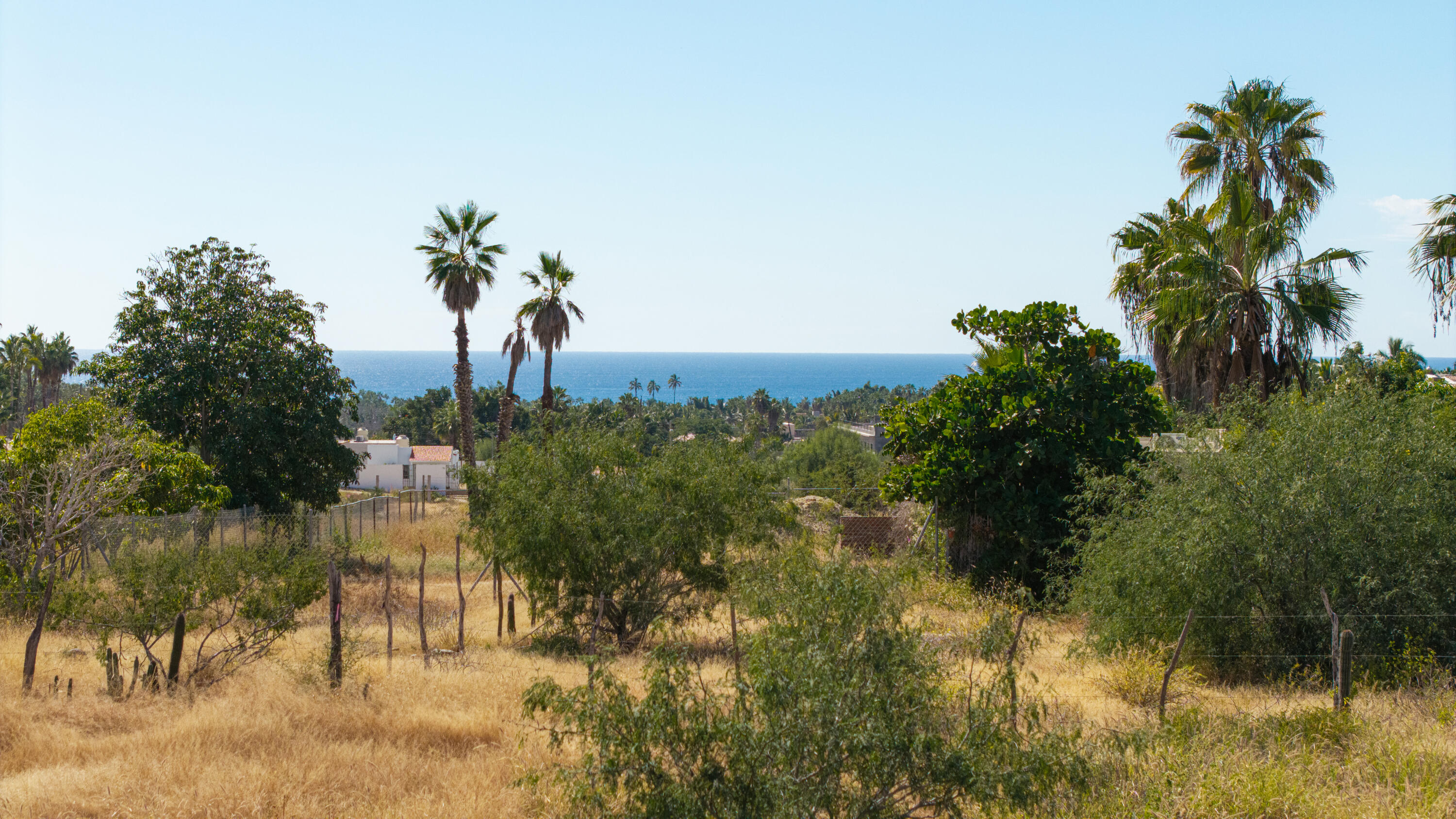 001 Las Brisas Lot, Todos Santos, Las Brisas