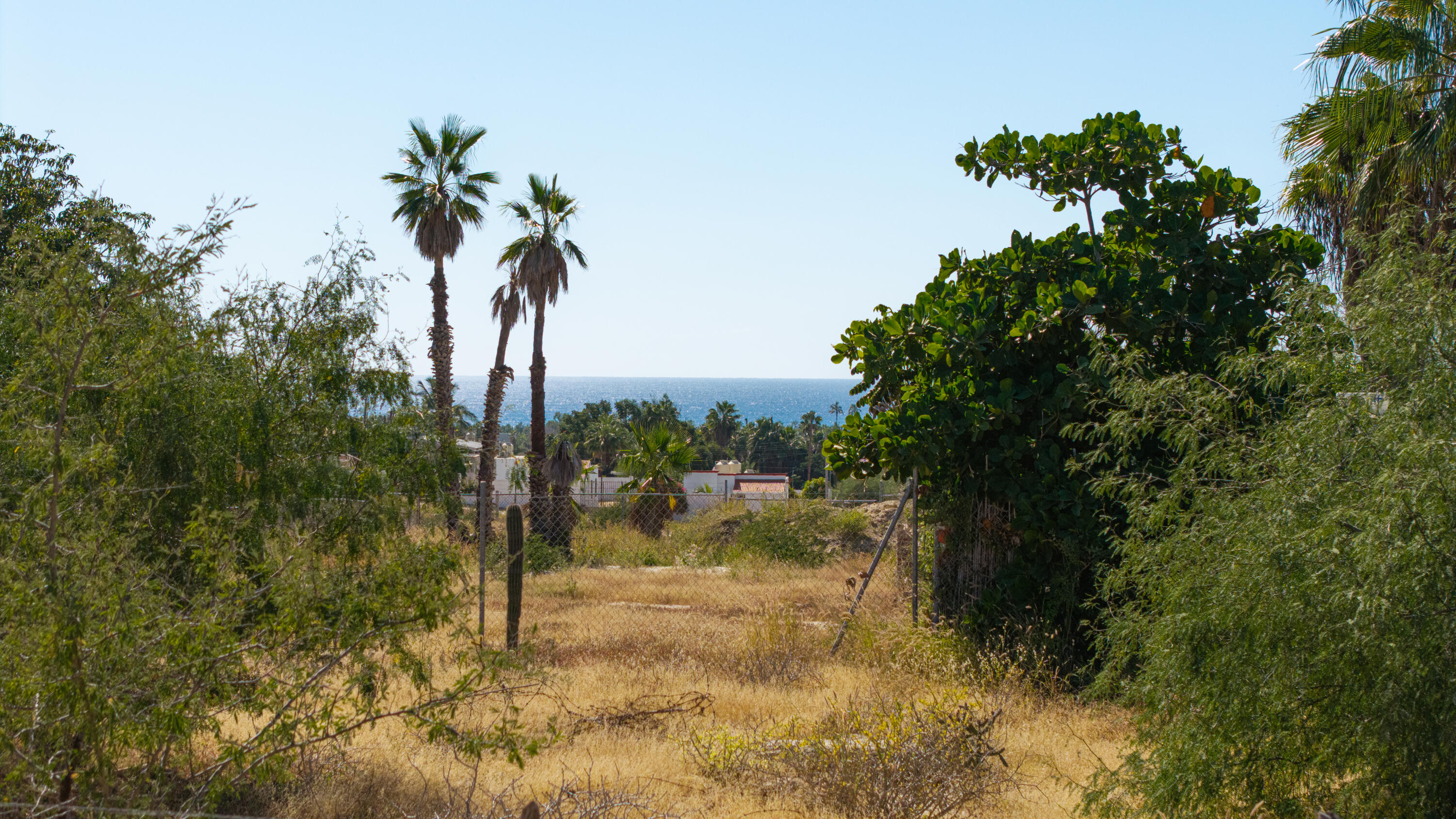 008 Las Brisas Lot, Todos Santos, Las Brisas
