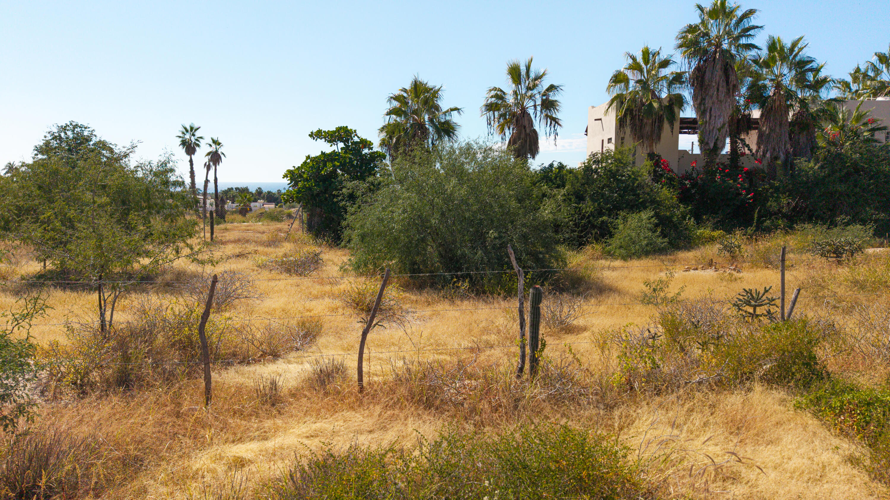 008 Las Brisas Lot, Todos Santos, Las Brisas