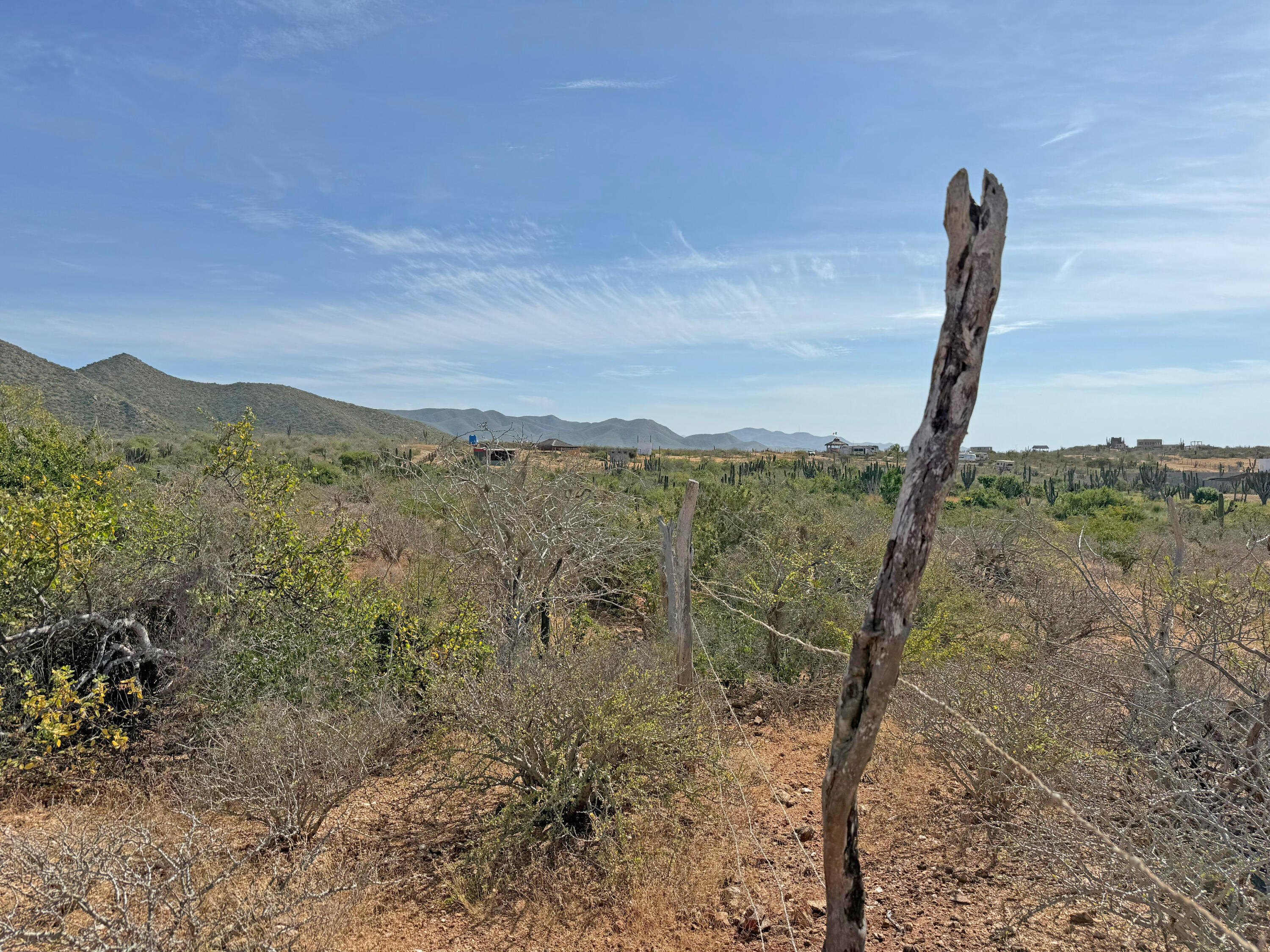 The Sweetest Spot in Cerritos