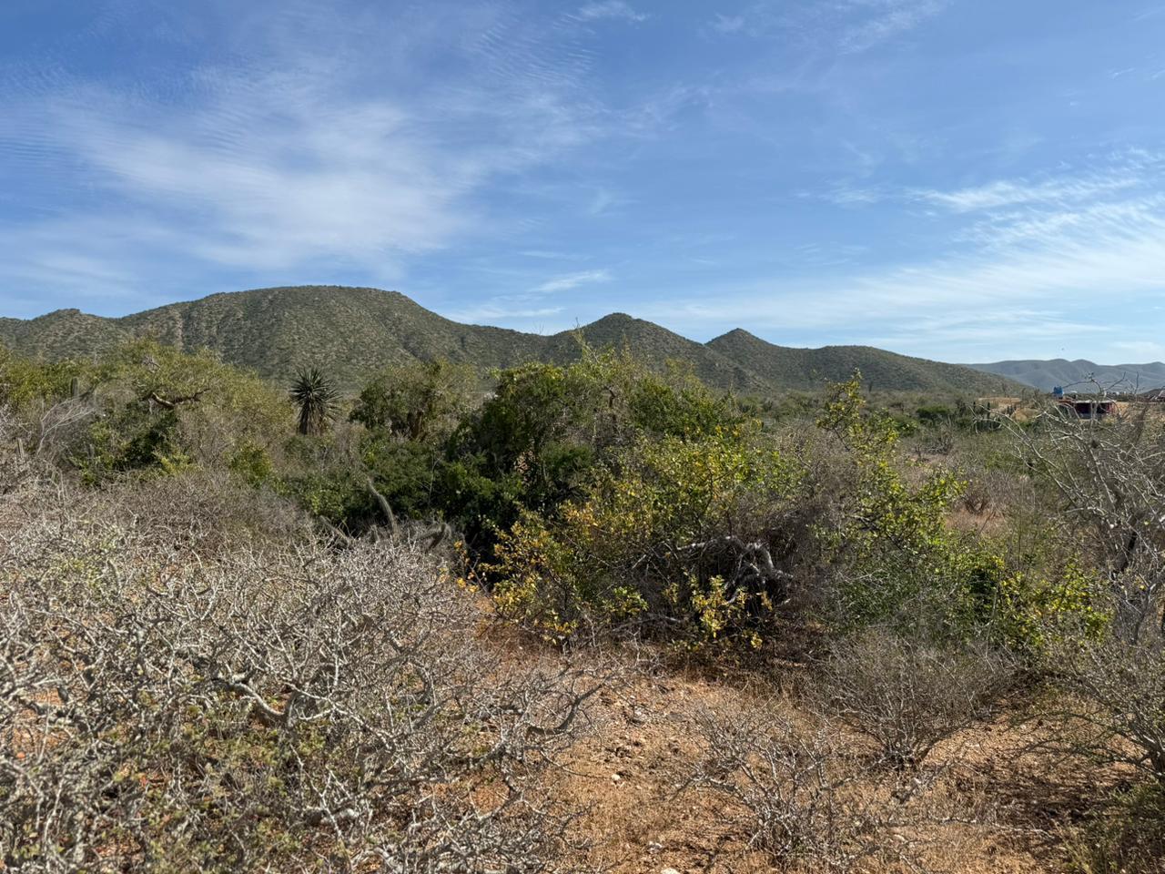 The Sweetest Spot in Cerritos