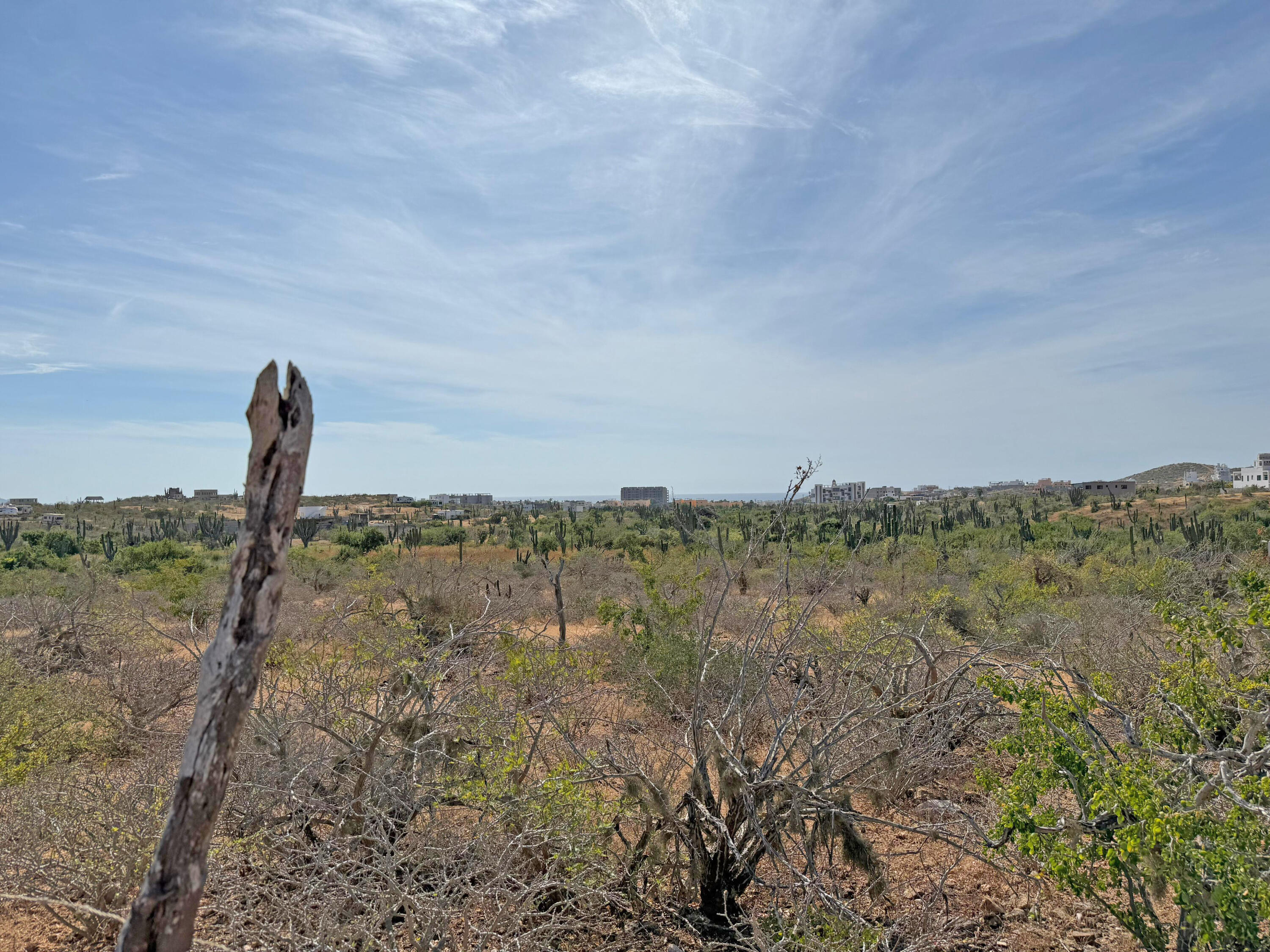 The Sweetest Spot in Cerritos