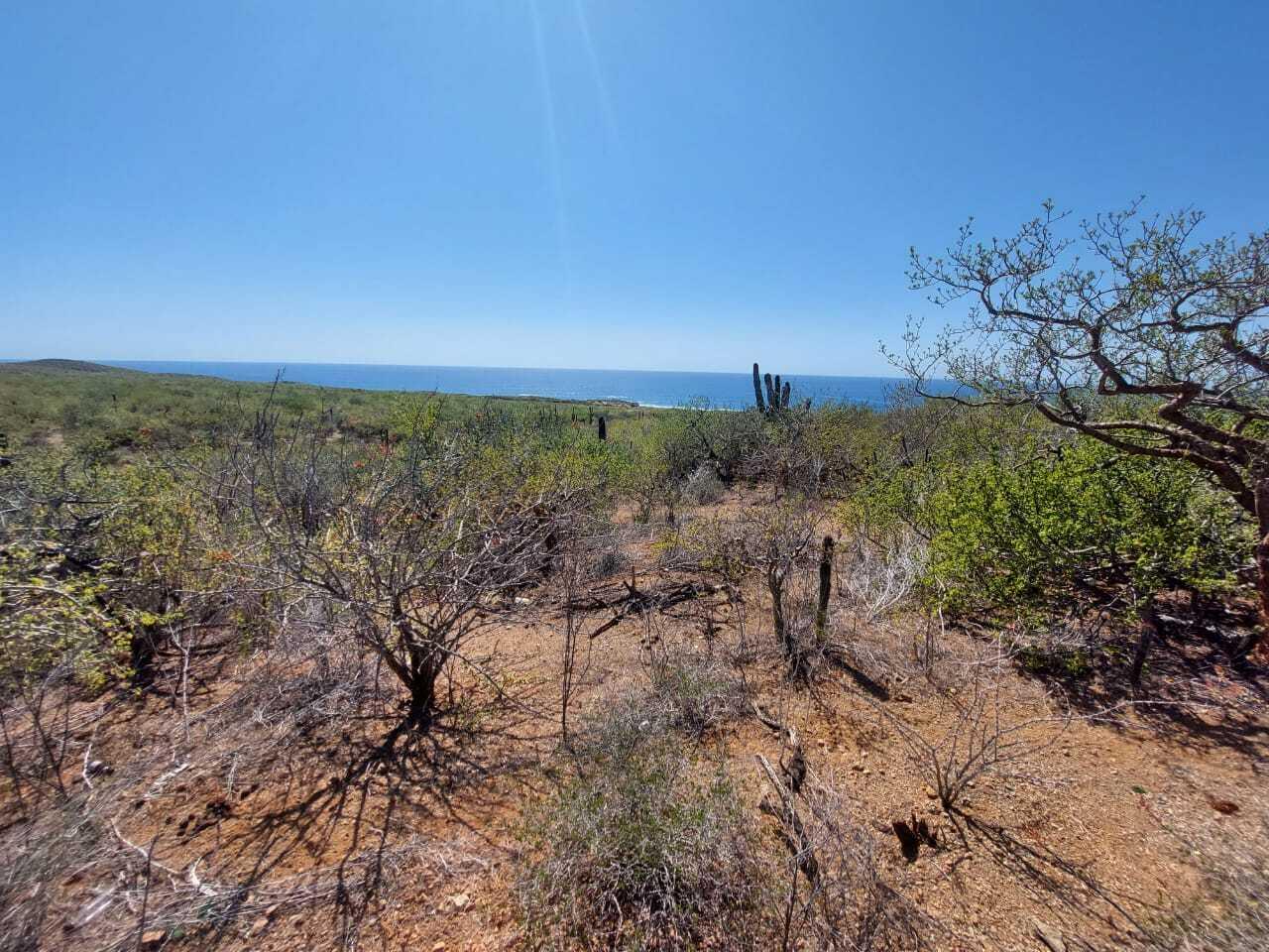 México 1, DOS HAS OCEAN FRONT ELIAS CALL